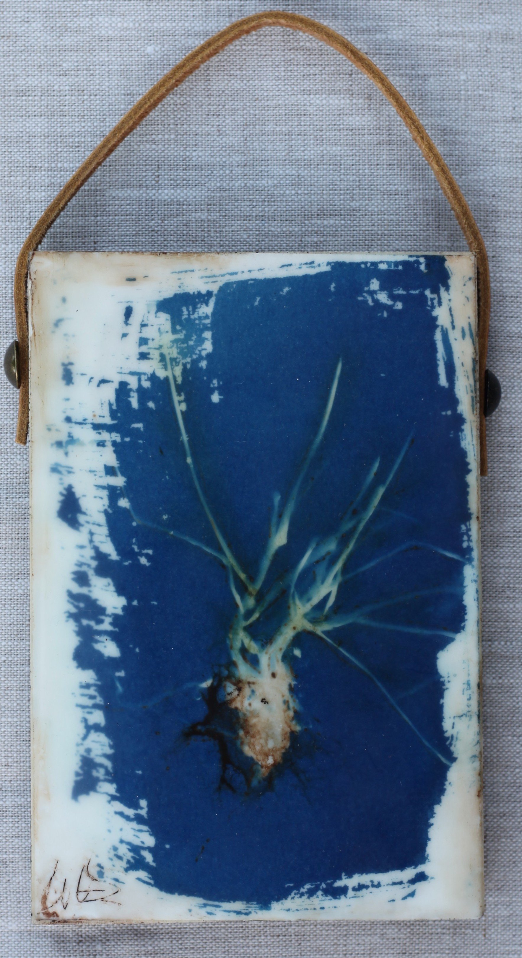 Grass Roots