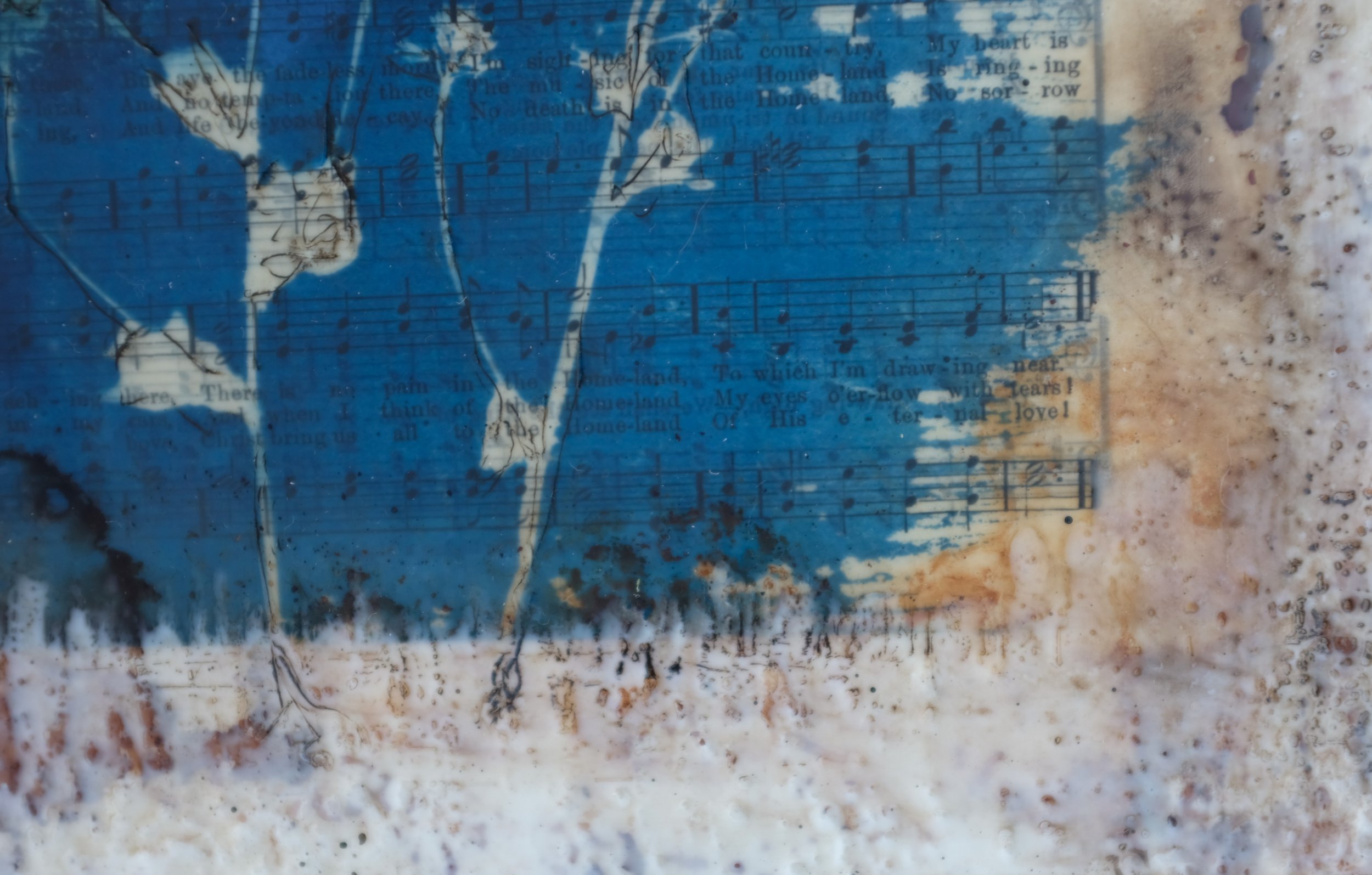 Autumn Sedum Hymnal 8x8 3 (300).jpg