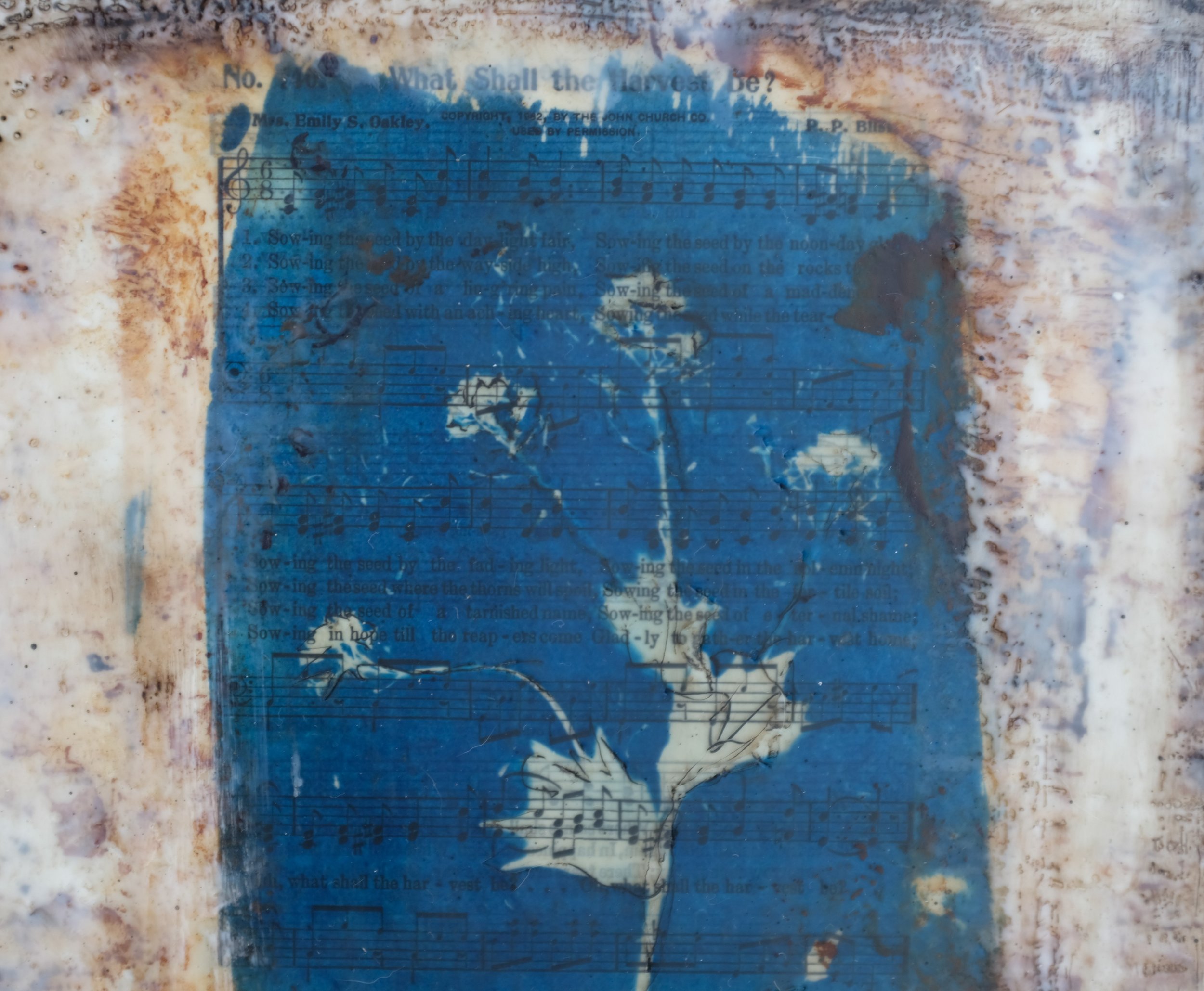 What Shall the Harvest Be 8x8 2 (300).jpg