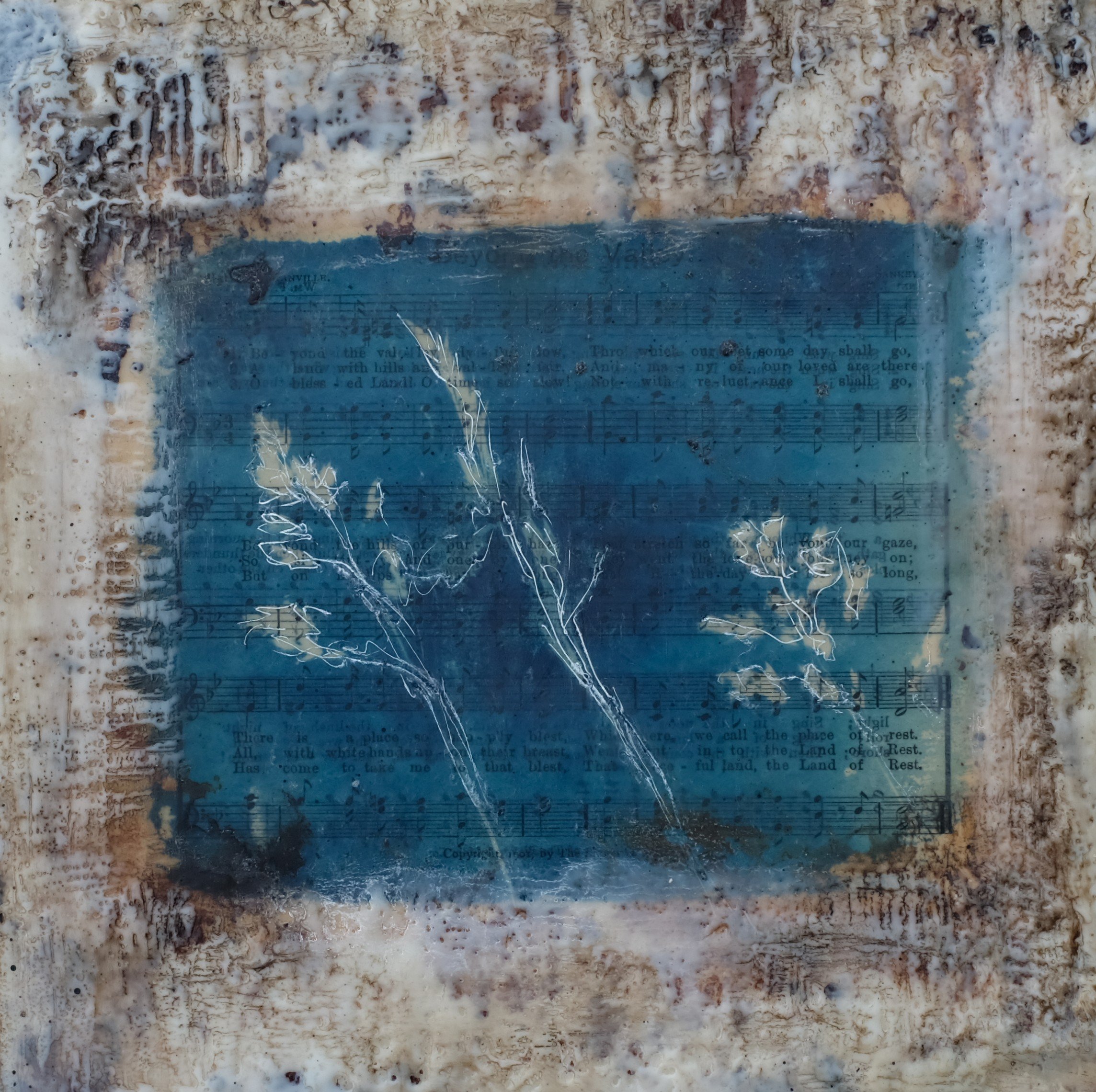 Wild Prairie Grasses