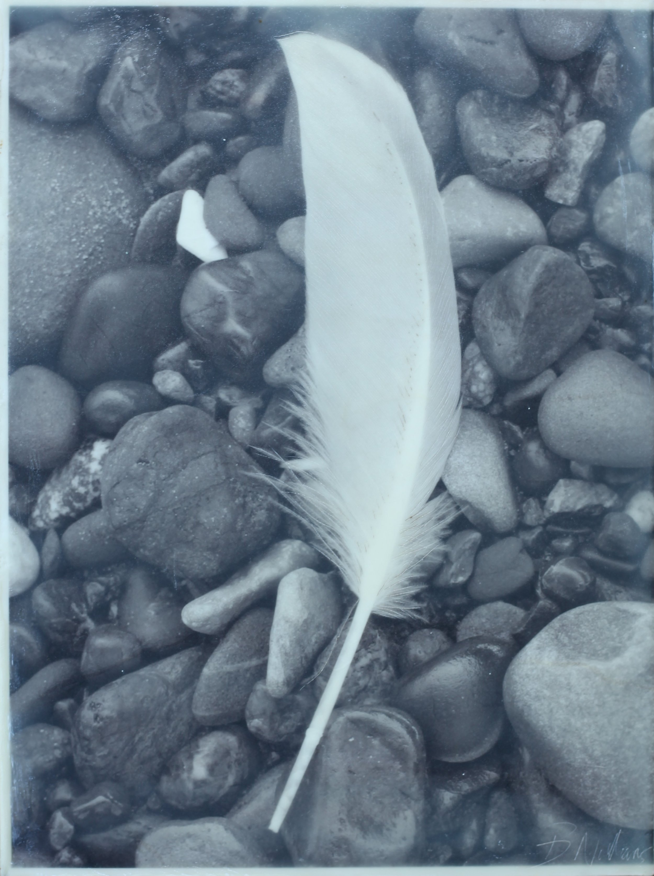 Flight-Structure-Growth 9x11 (3ea) 2 (1200).jpg