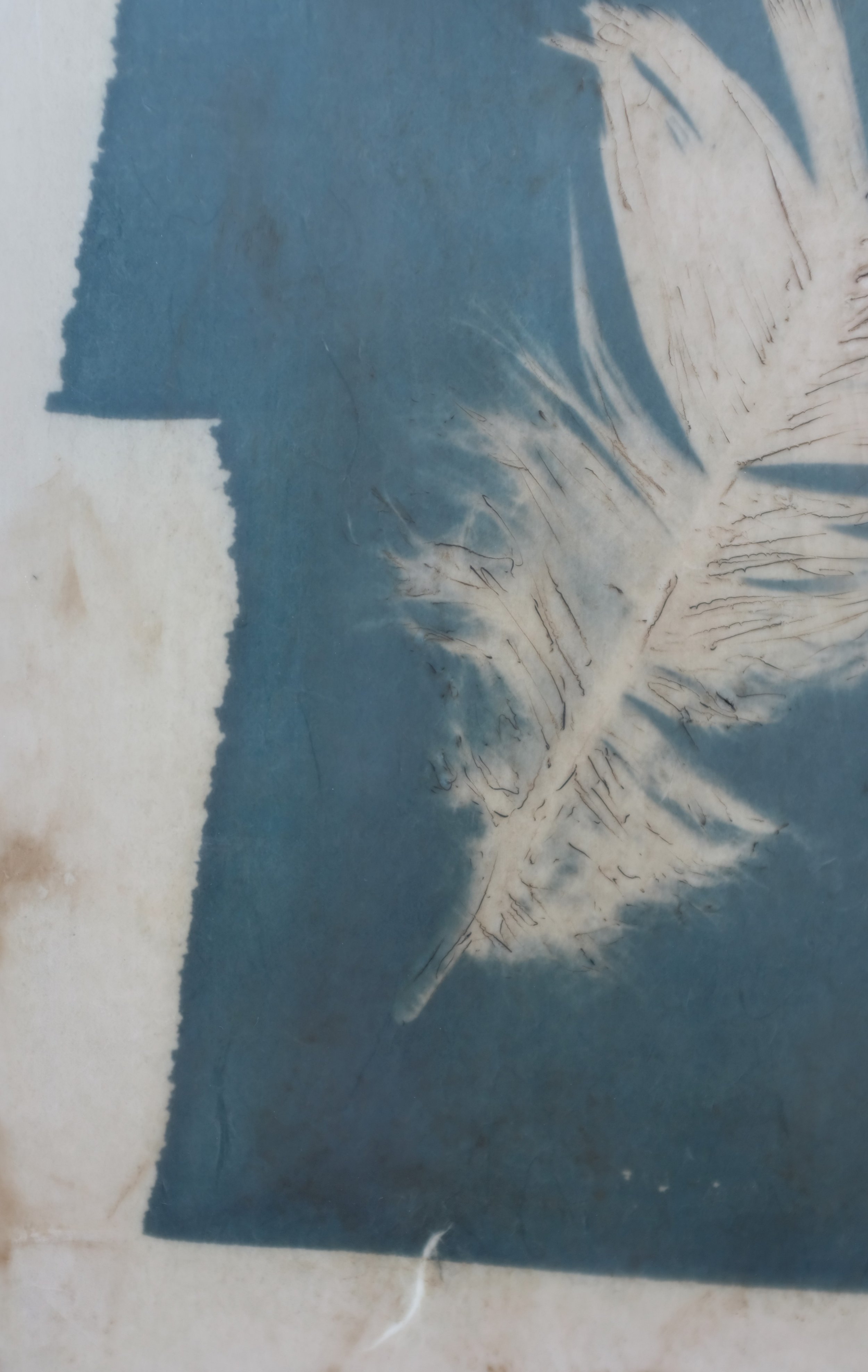 Feather Whisper 12x18 2 (600).jpg