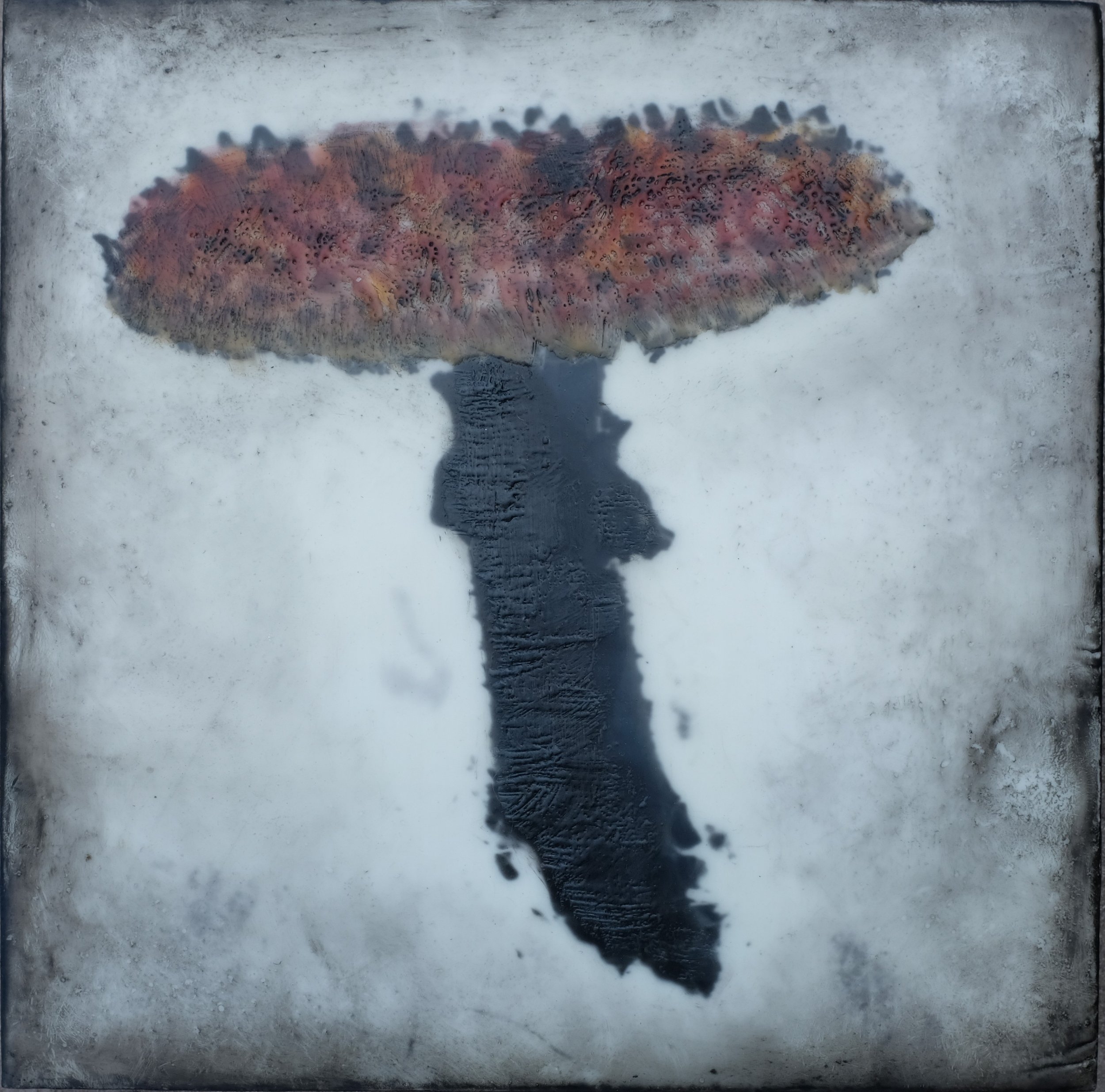 Otto's Mushroom