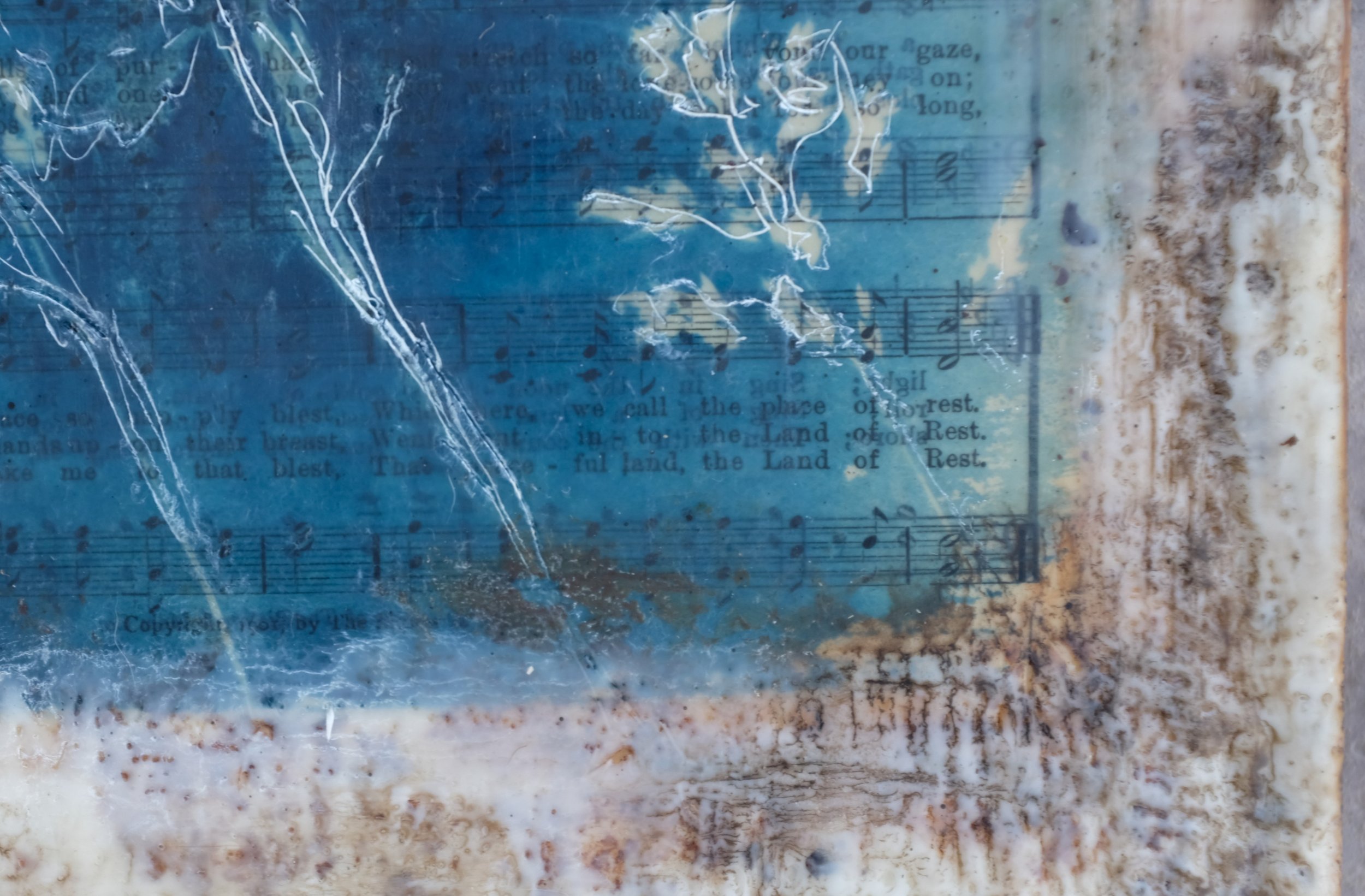 Wild Prairie Grasses 8x8 3 (300).jpg