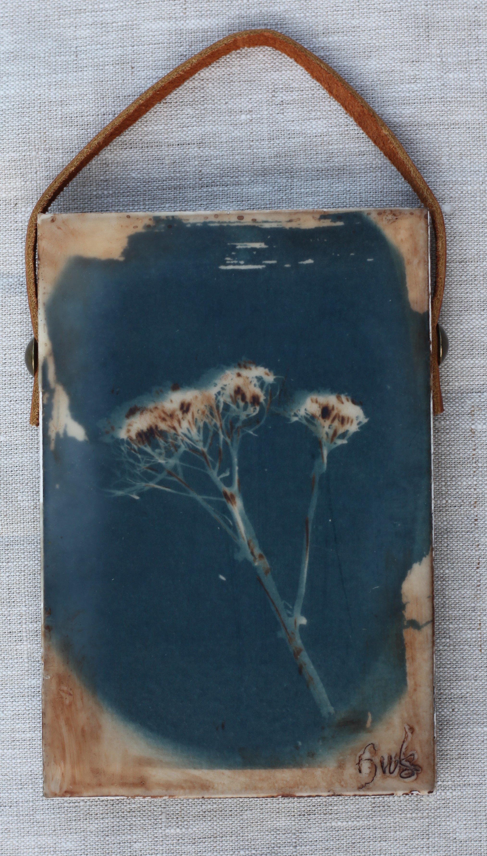 Dried Branch