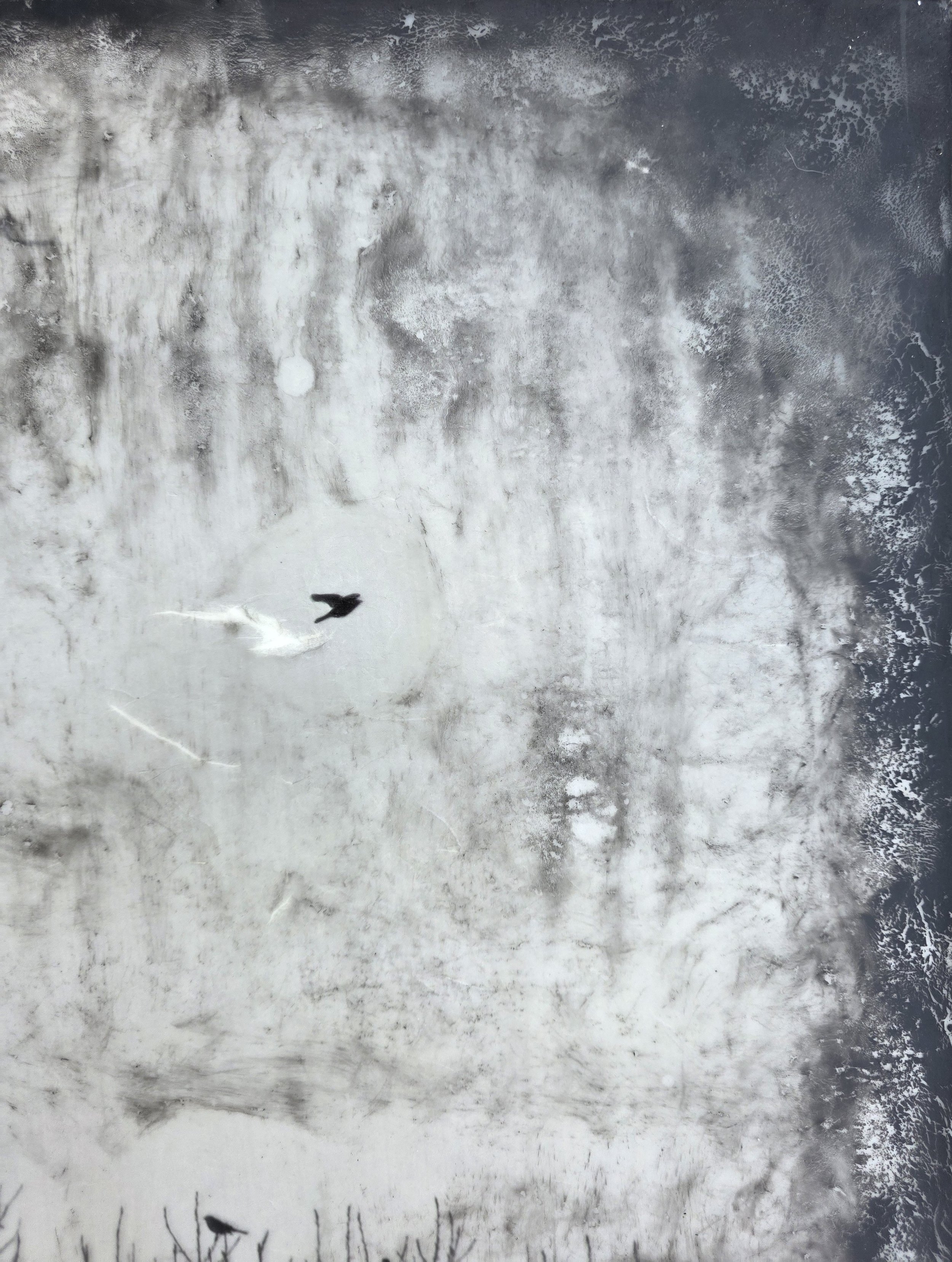 Solo Flight 24x18 3 (1200).jpg