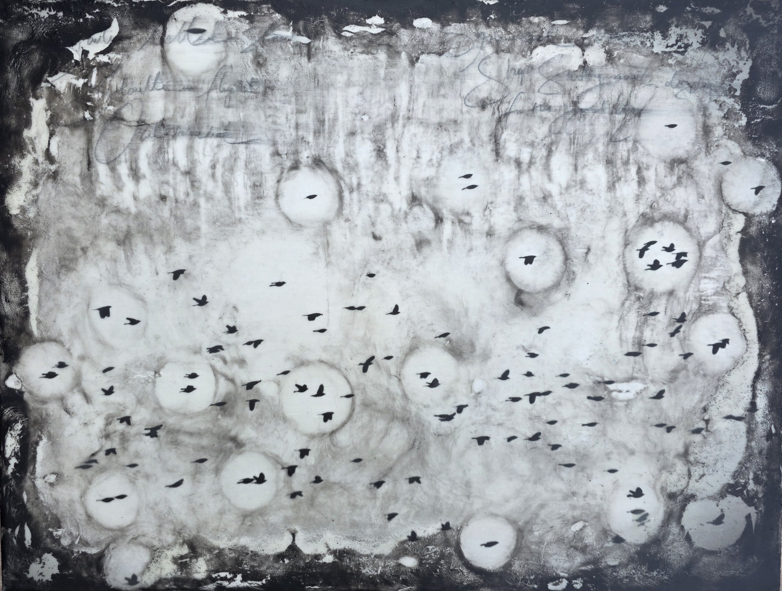 Murmurations