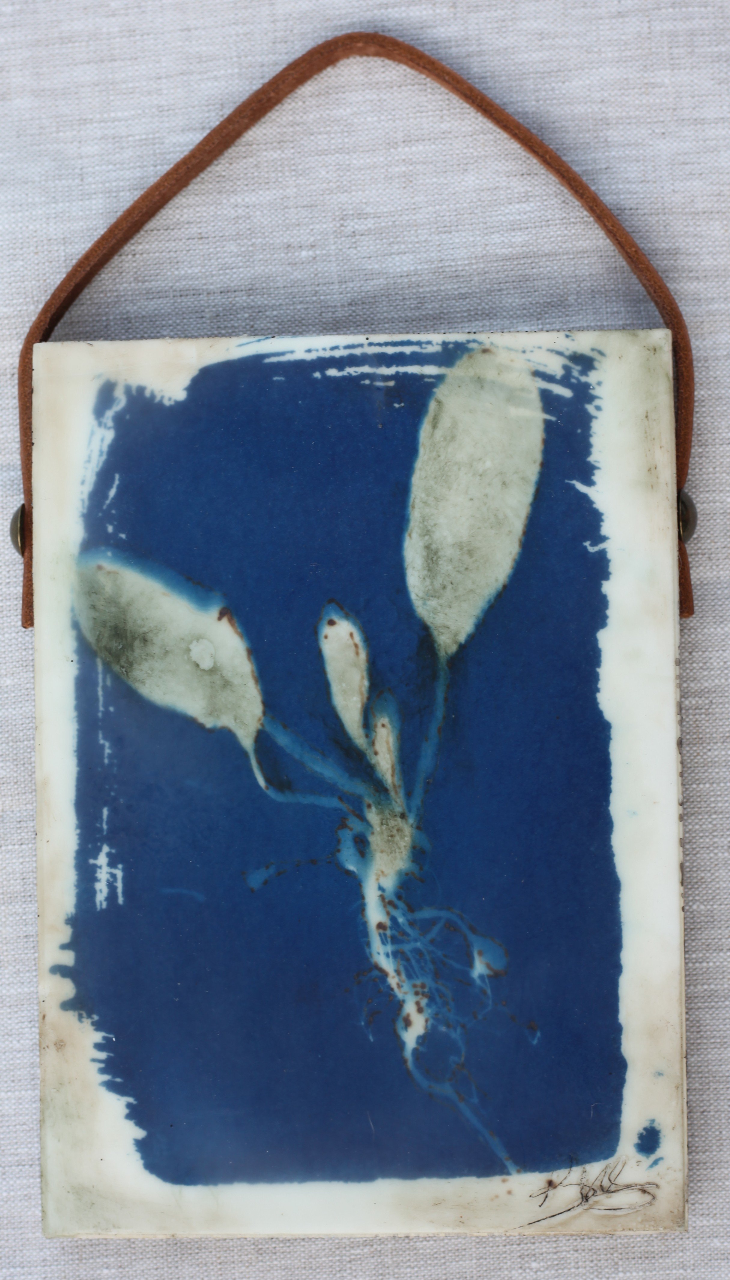 Sage with Roots