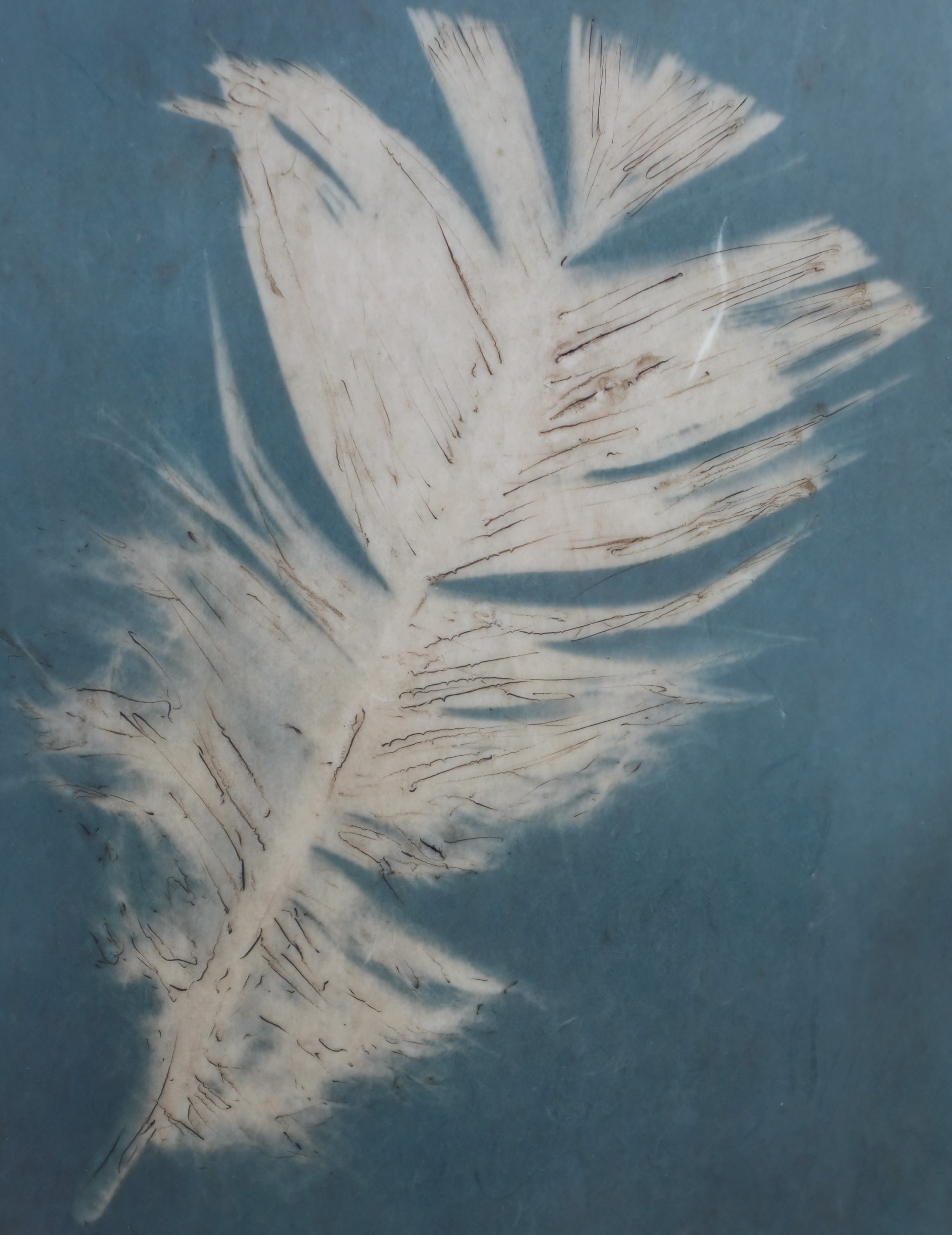 Feather Whisper 12x18 3 (600).jpg