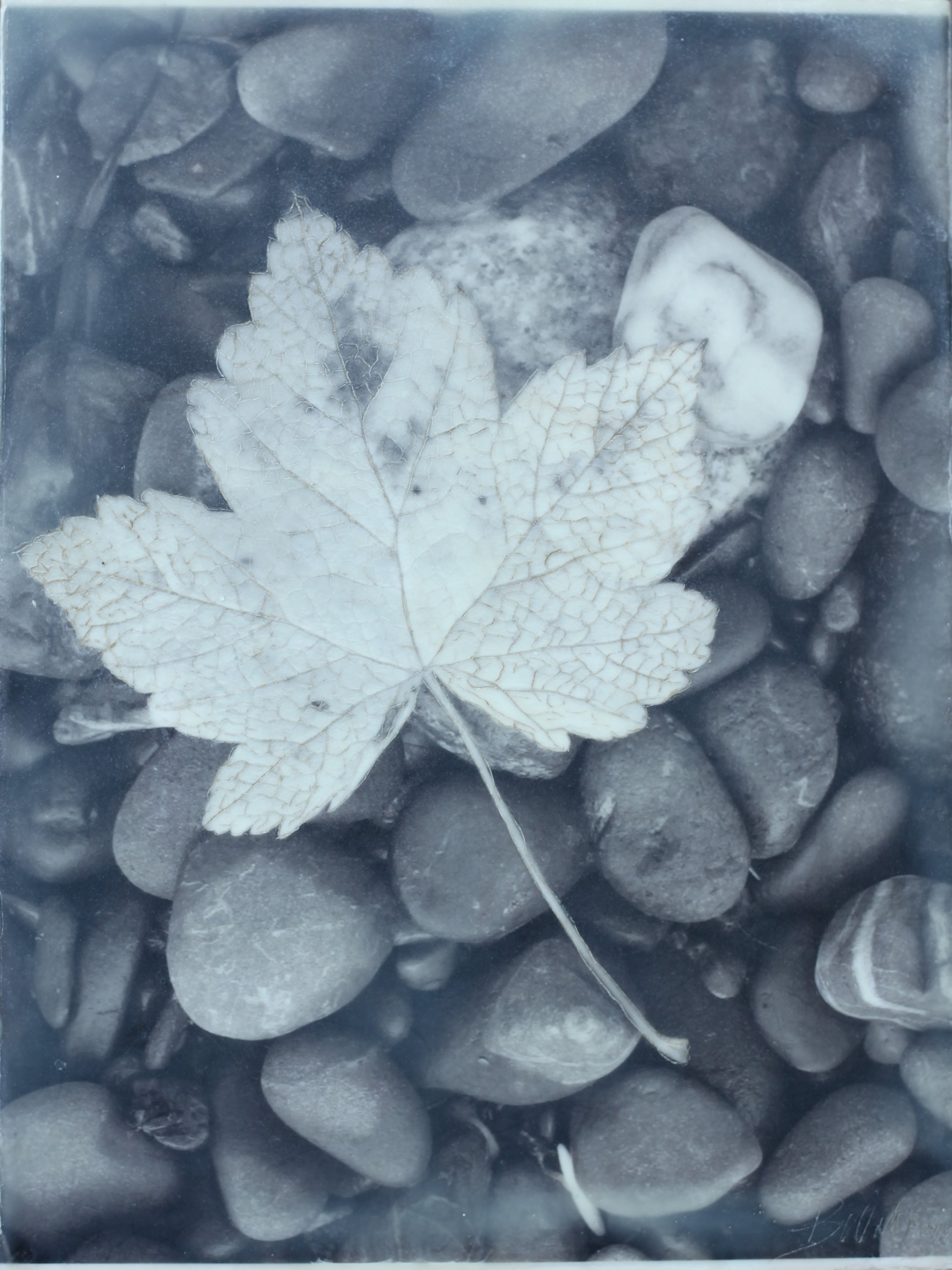 Flight-Structure-Growth 9x11 (3ea) 8 (1200).jpg