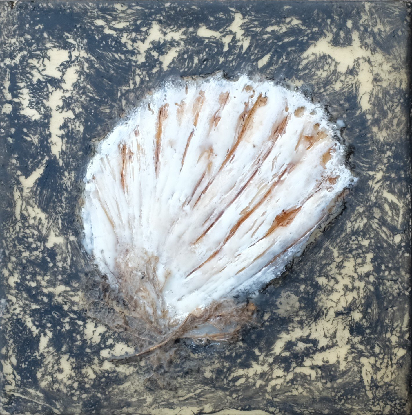 Bayside Beauties 6x6 (set of four) 5 (500).jpg
