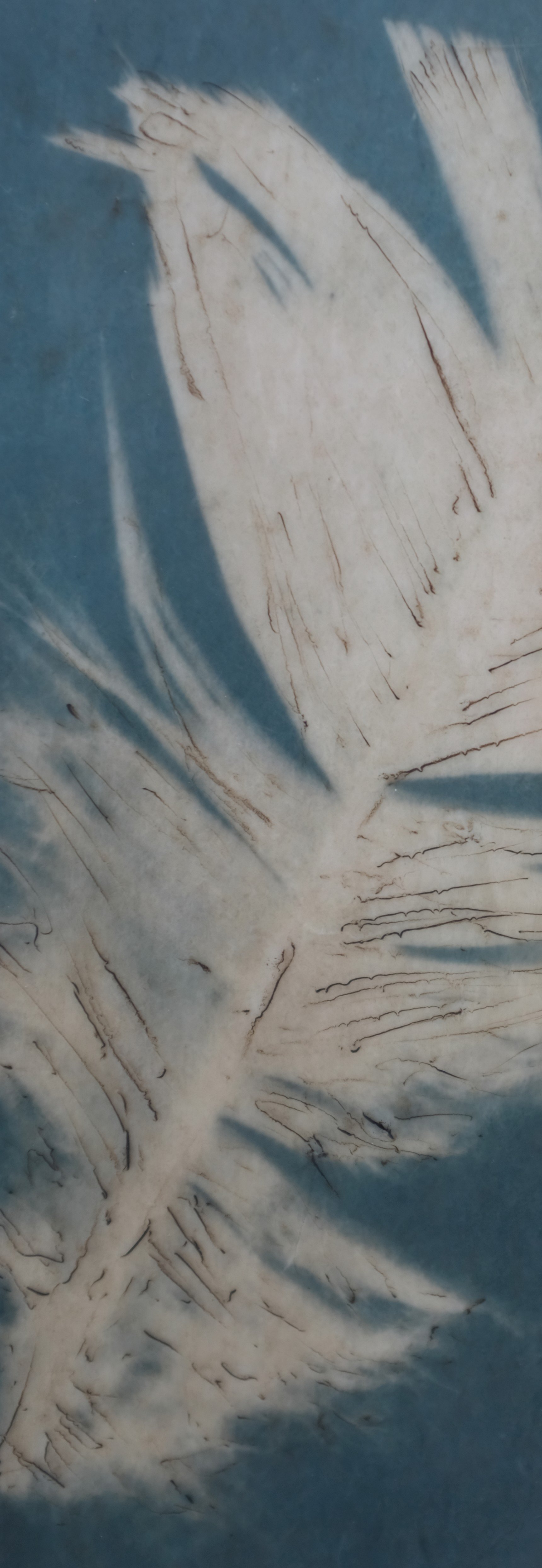 Feather Whisper 12x18 4 (600).jpg