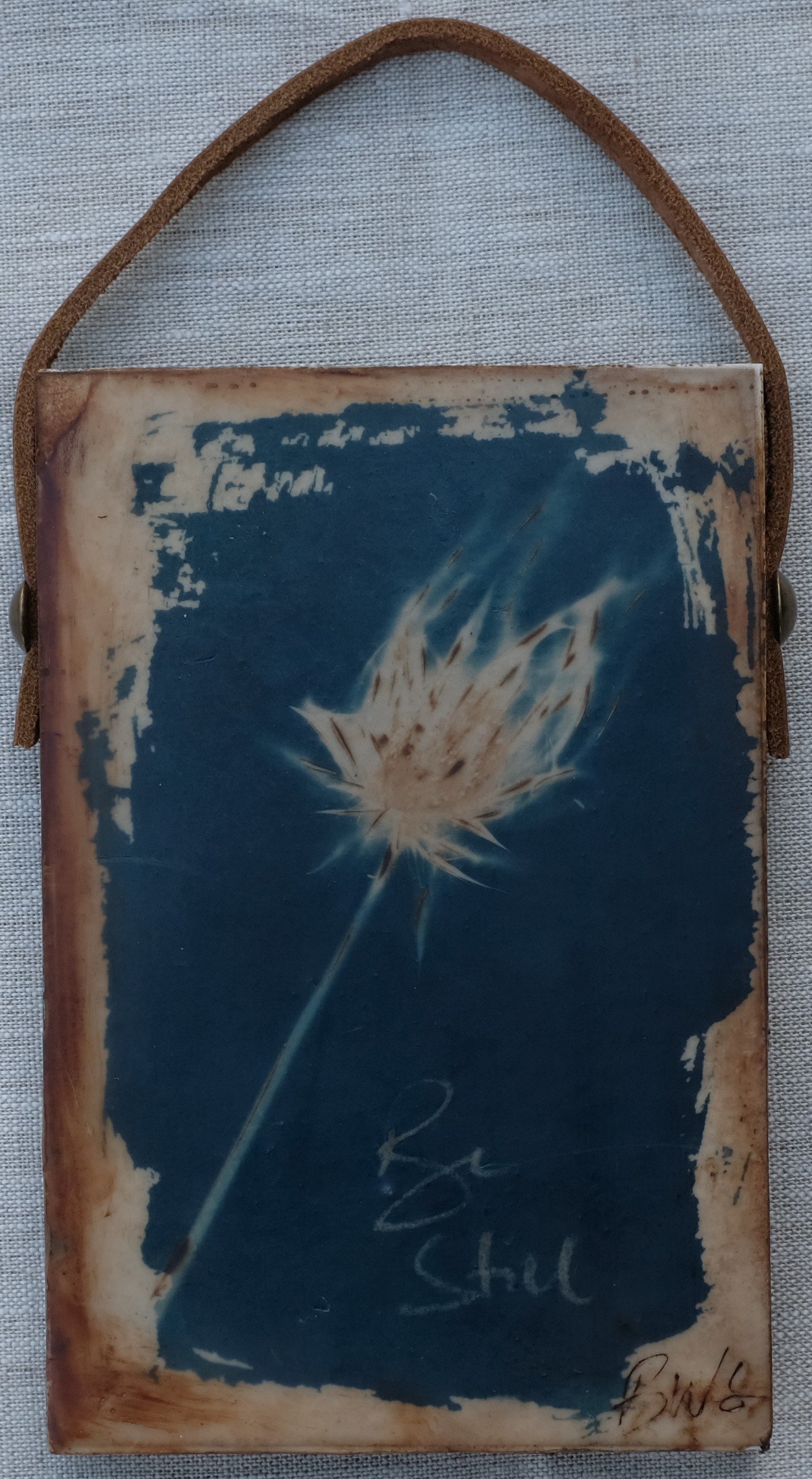 Be Still Flower 4x6 2 (120).JPG