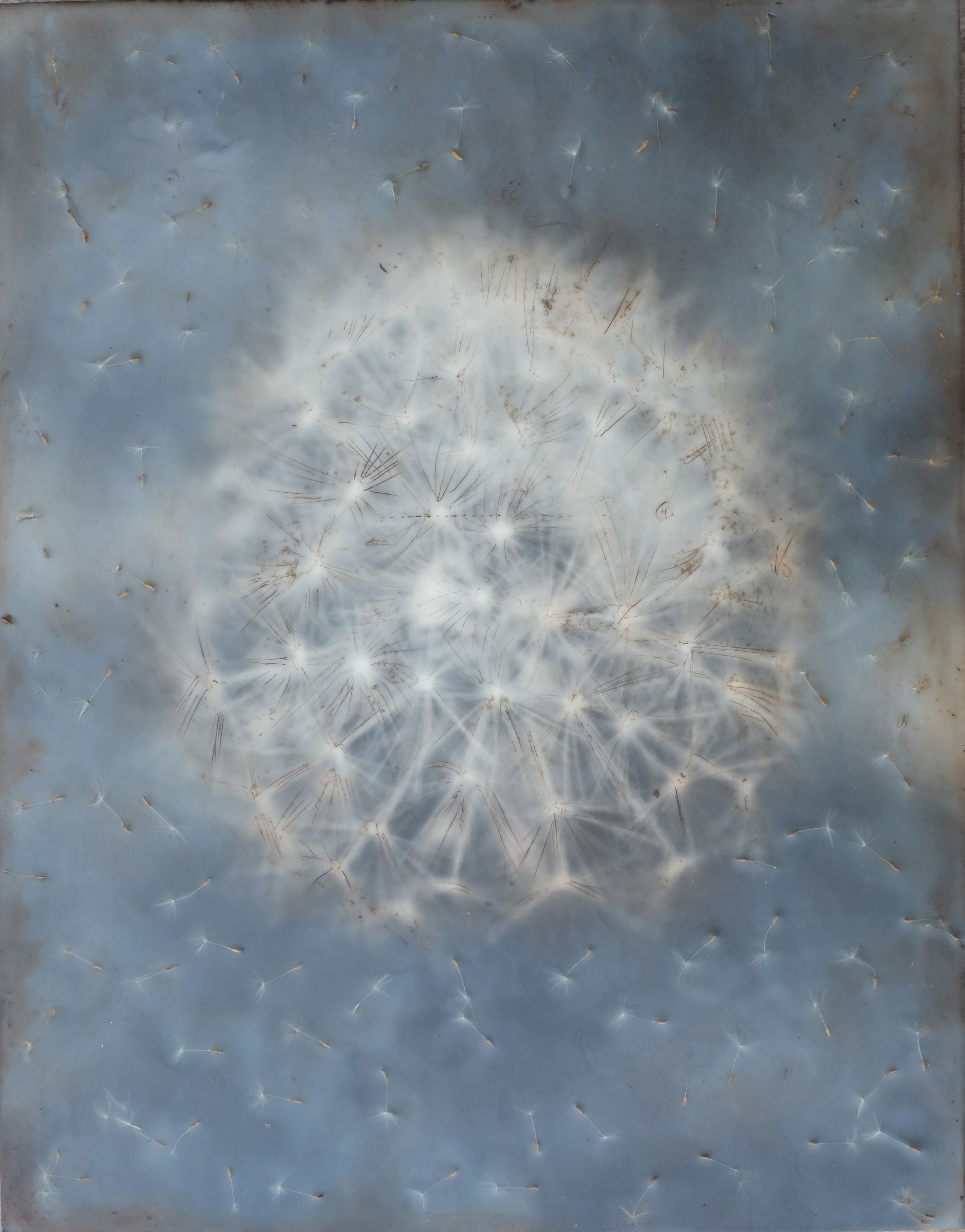 Pappus Parachutes