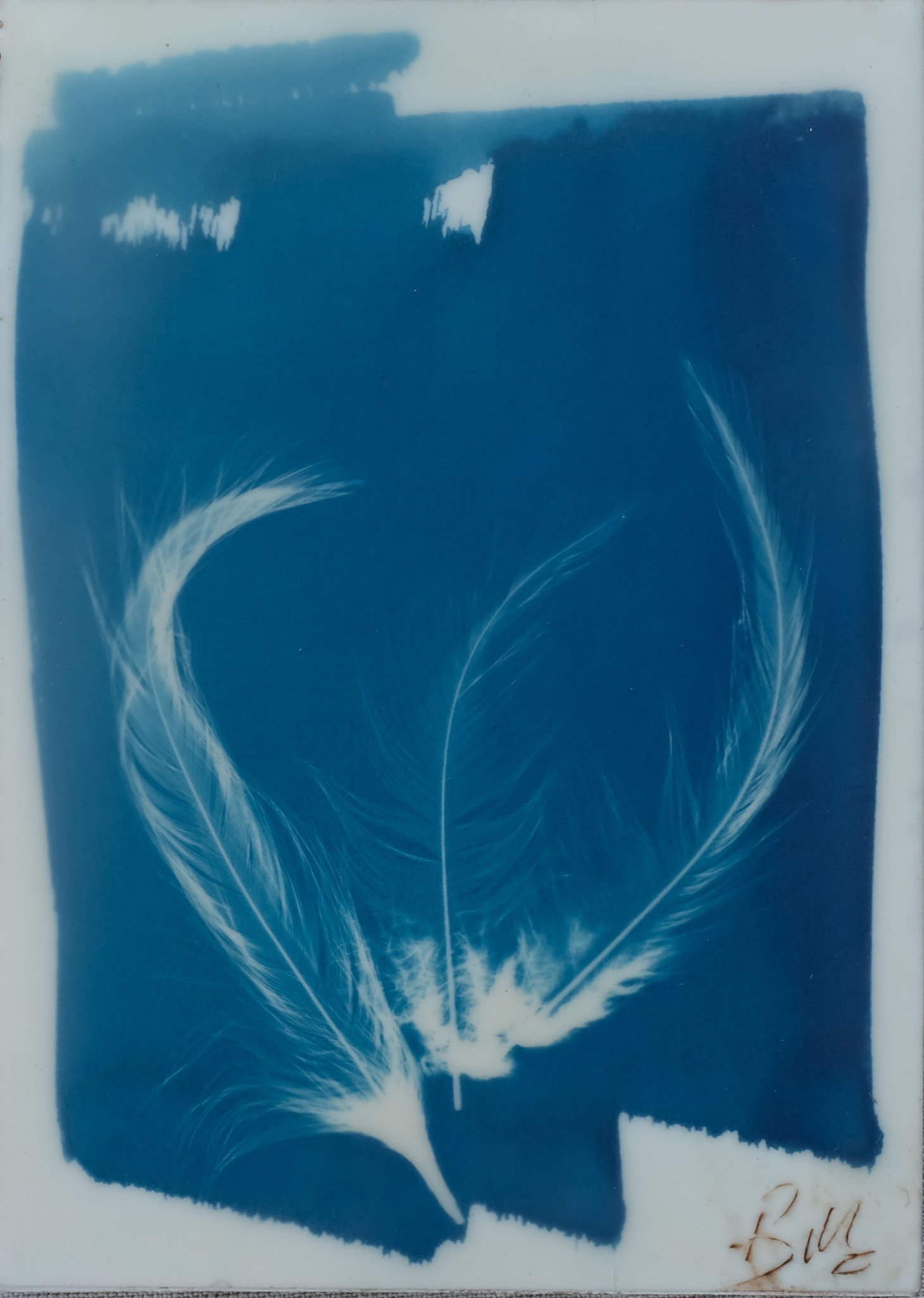 3 Feathers