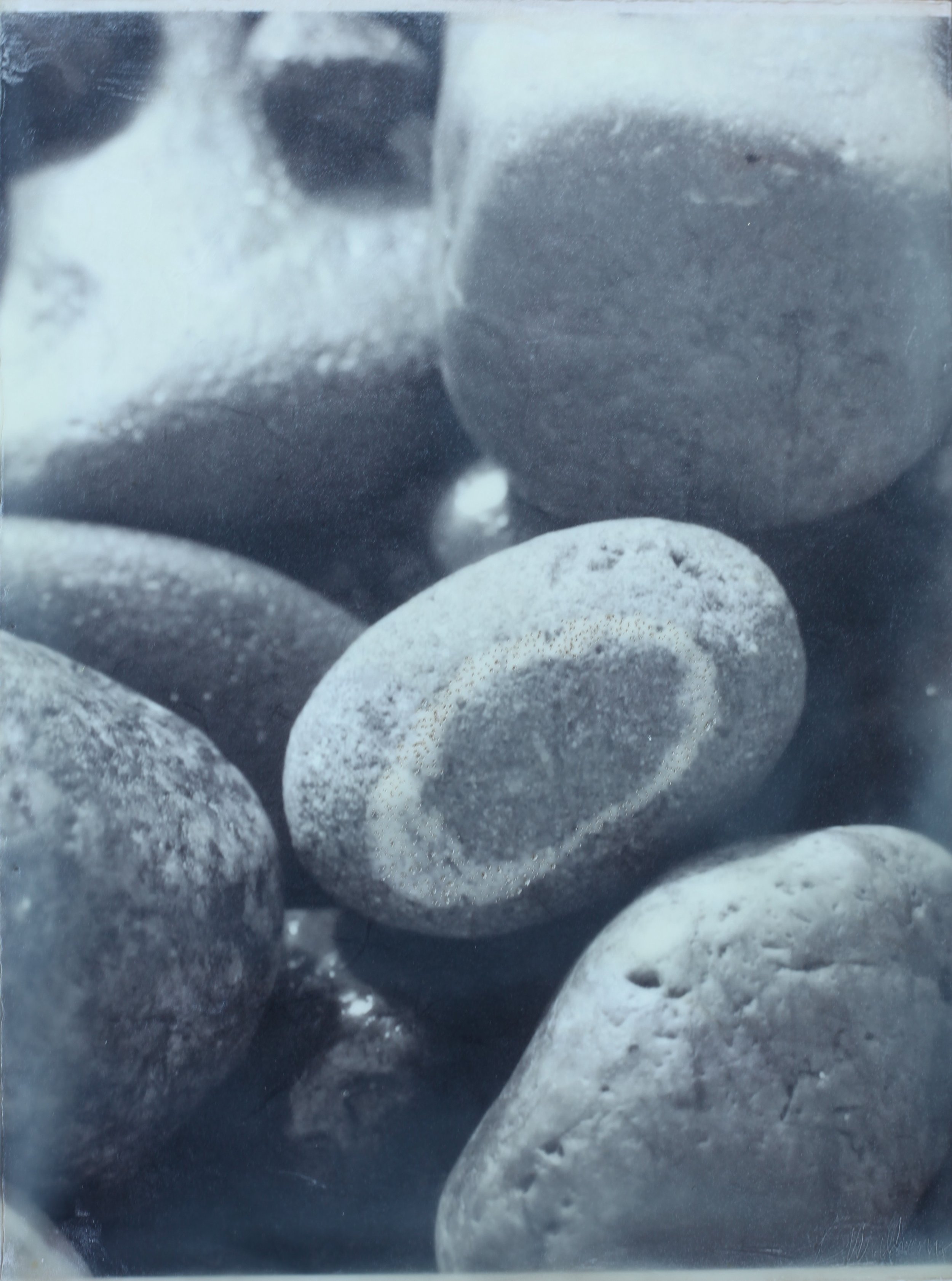 Flight-Structure-Growth 9x11 (3ea) 5 (1200).jpg