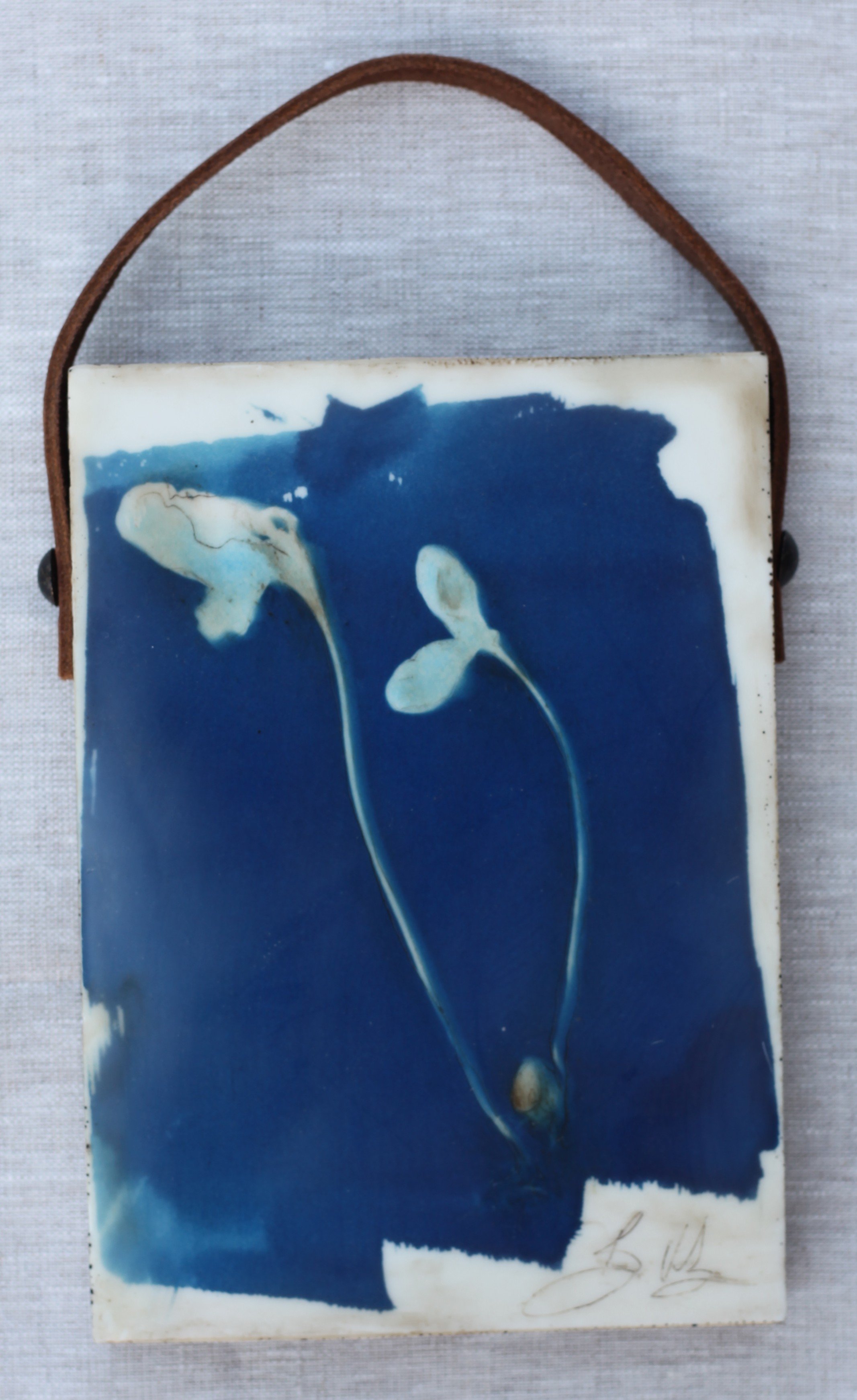Sunflower Sprouts with Seed