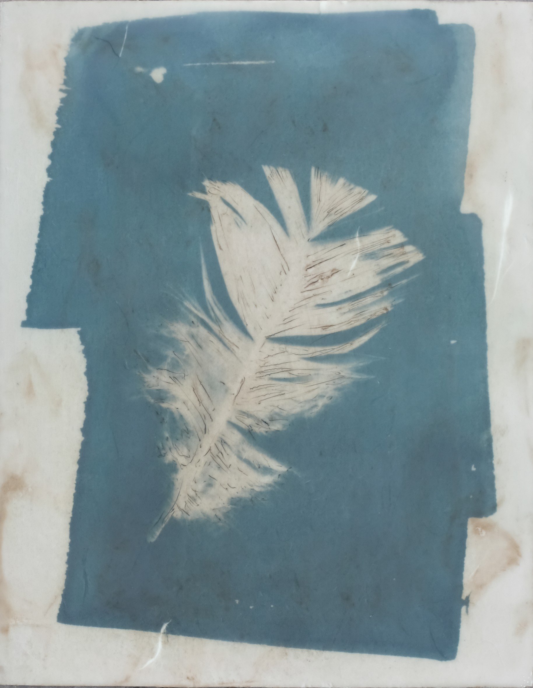 Feather Whisper