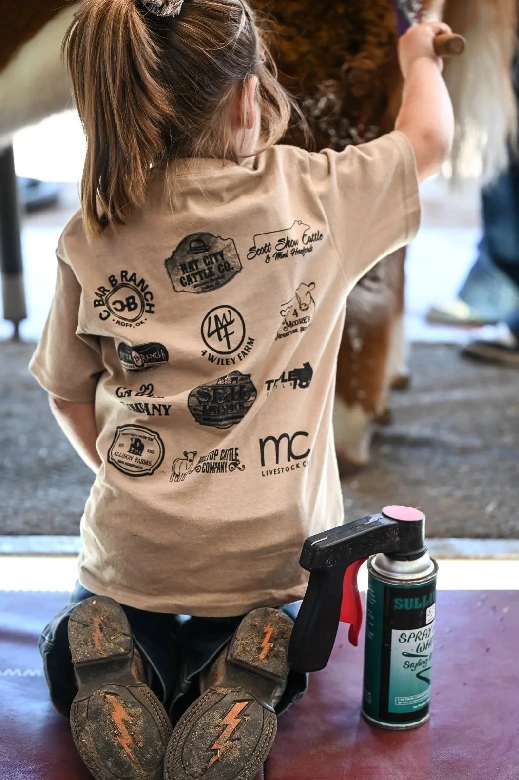 Pre-Junior exhibitors competing in the fitting contest, sponsored by Sullivan's Supply, at the Miniature Hereford Junior Nationals.  Exhibitors wear t-shirt showing logos of sponsors