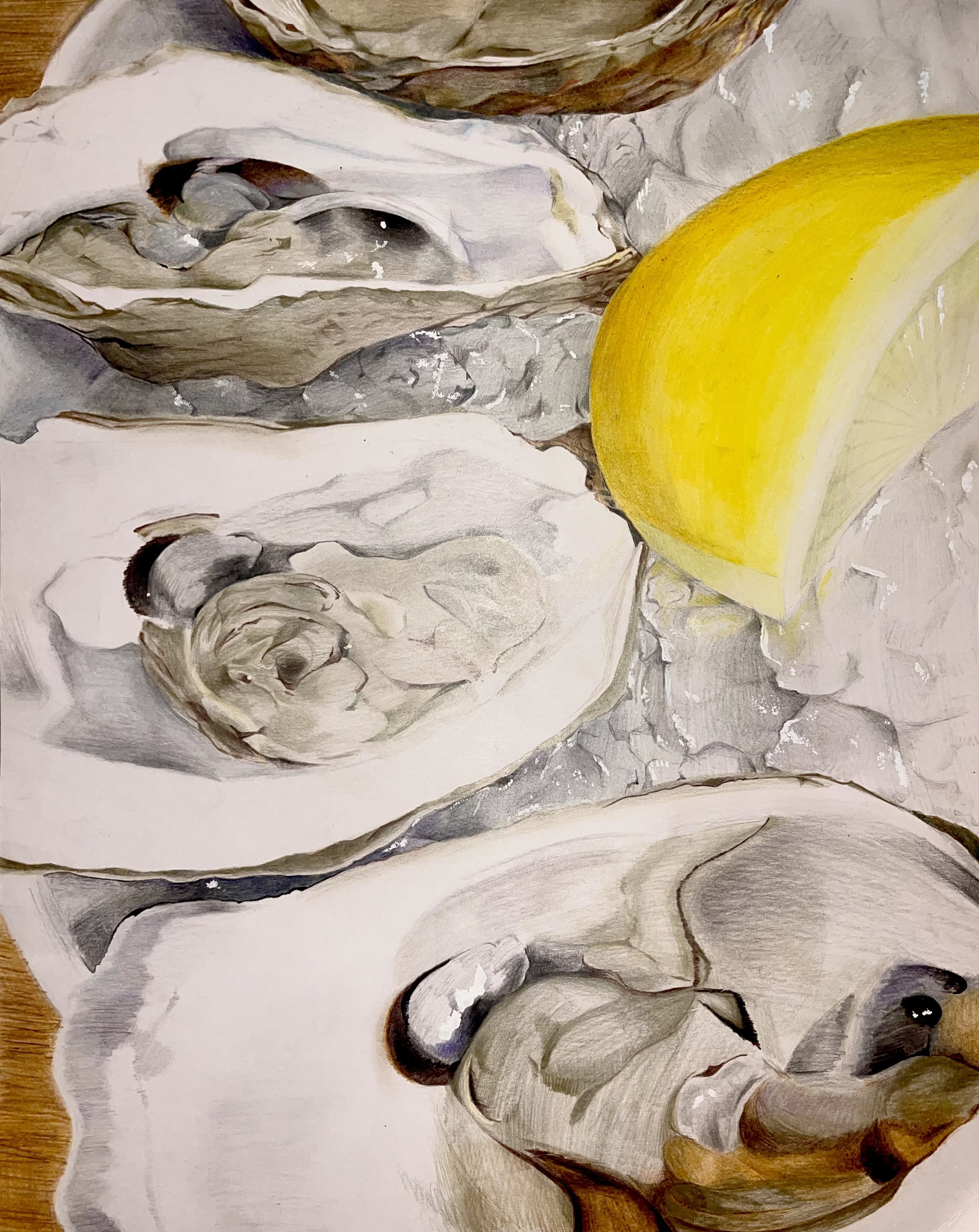 A painting of a sliced oyster shell with a lemon wedge placed on the shell, displaying detailed textures and shades of gray, white, brown, and yellow.