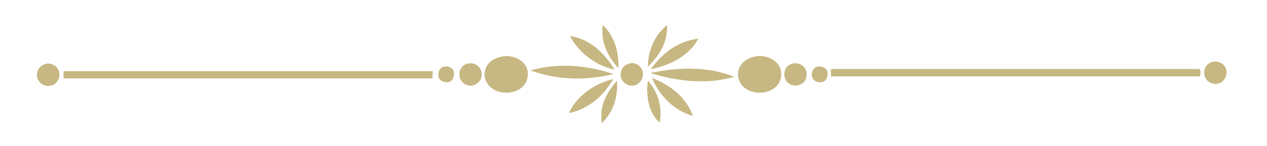 An ornate decorative horizontal divider with a symmetrical design of gold-colored circles and a leaf pattern in the center on a transparent background.