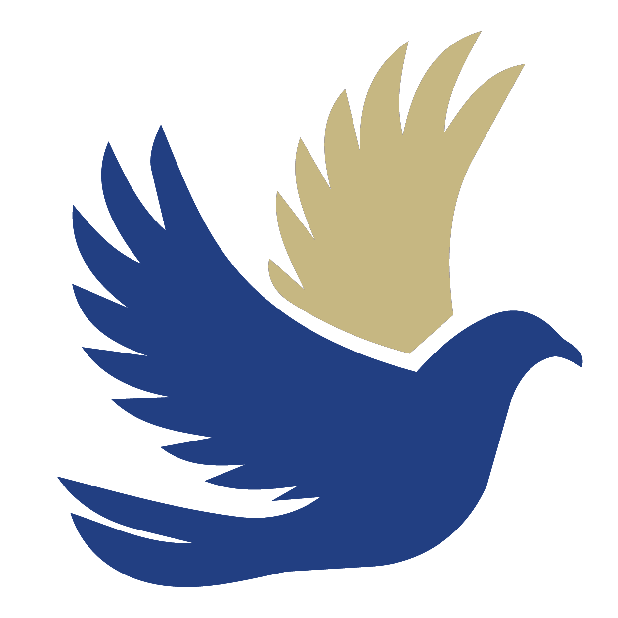 Dove Icon