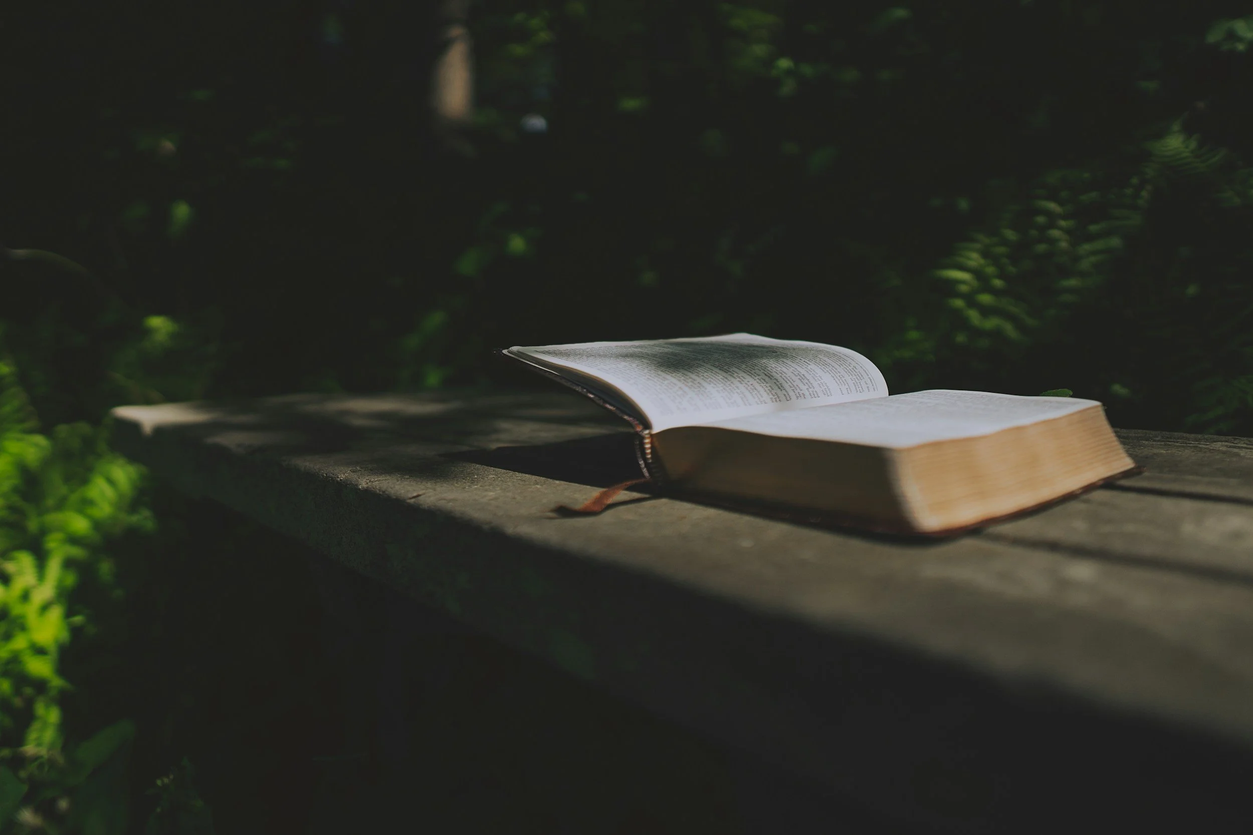 An open book resting on a wooden surface outdoors with greenery in the background.