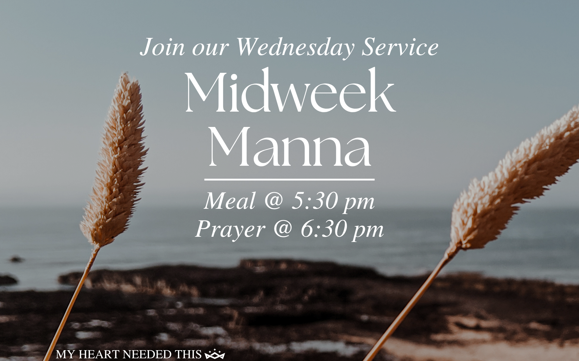 Midweek Manna