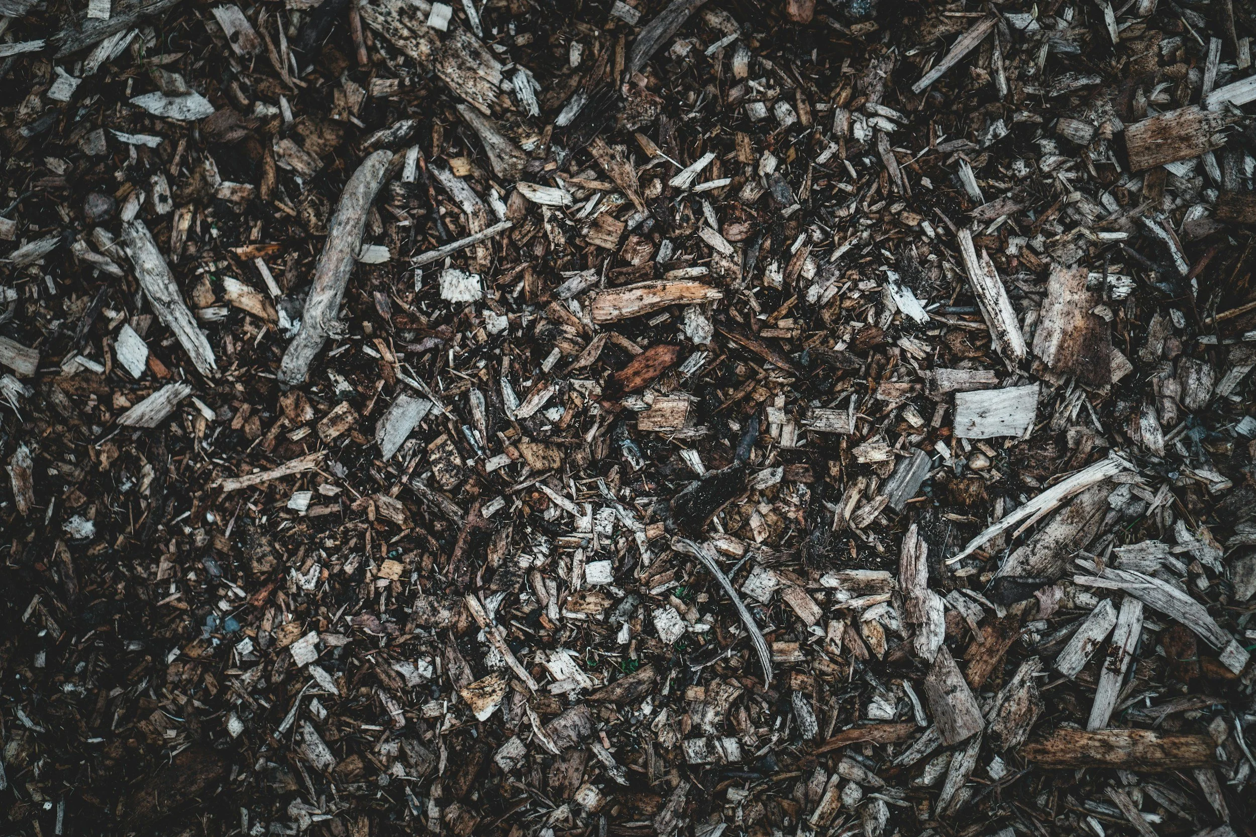 Close-up image of black wood mulch or shredded bark used for landscaping.