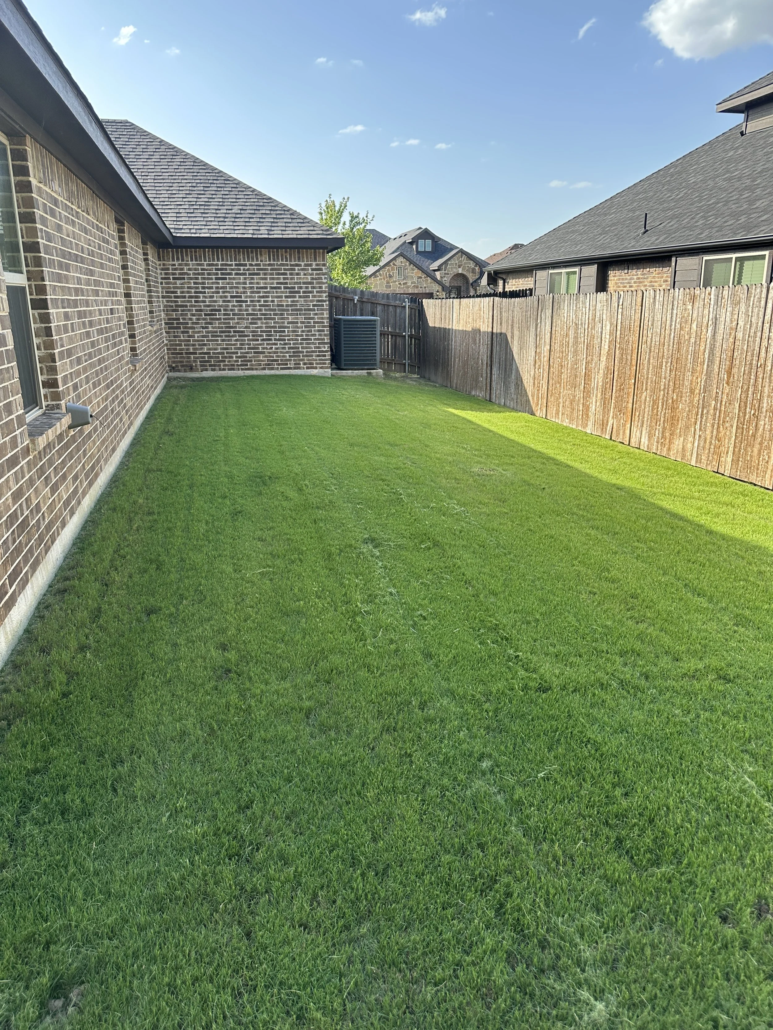 A backyard with green grass, a brick house on the left, a wooden fence on the right, and neighboring houses in the background under a blue sky with a few clouds.