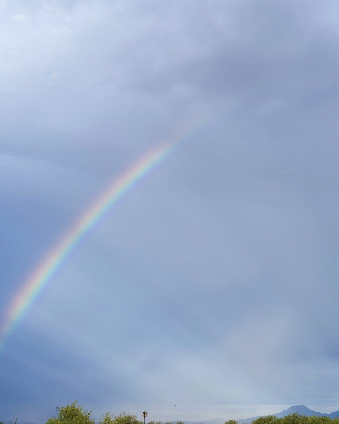 Every drop of rain  in the Sonoran Desert feels like Heaven Passin&rsquo; Through. ⁠
⁠
For those of us in the desert southwest, we pray for rain and hope it comes. As we continue through the dry side of a drought cycle each drop that hits the soil is
