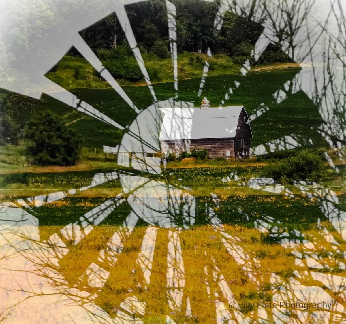 Victoria-Allen-WindmillBarn-x.jpeg