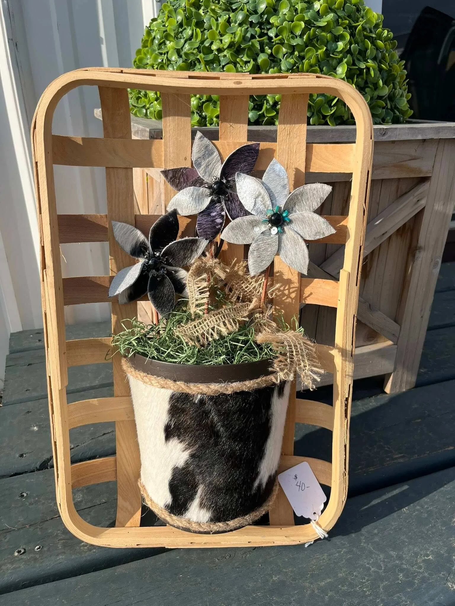 A black and white cow hide placed in a wooden basket. The basket is on an outdoor wooden surface with a large green plant in the background. There is a small white price tag showing $40 attached to the basket.