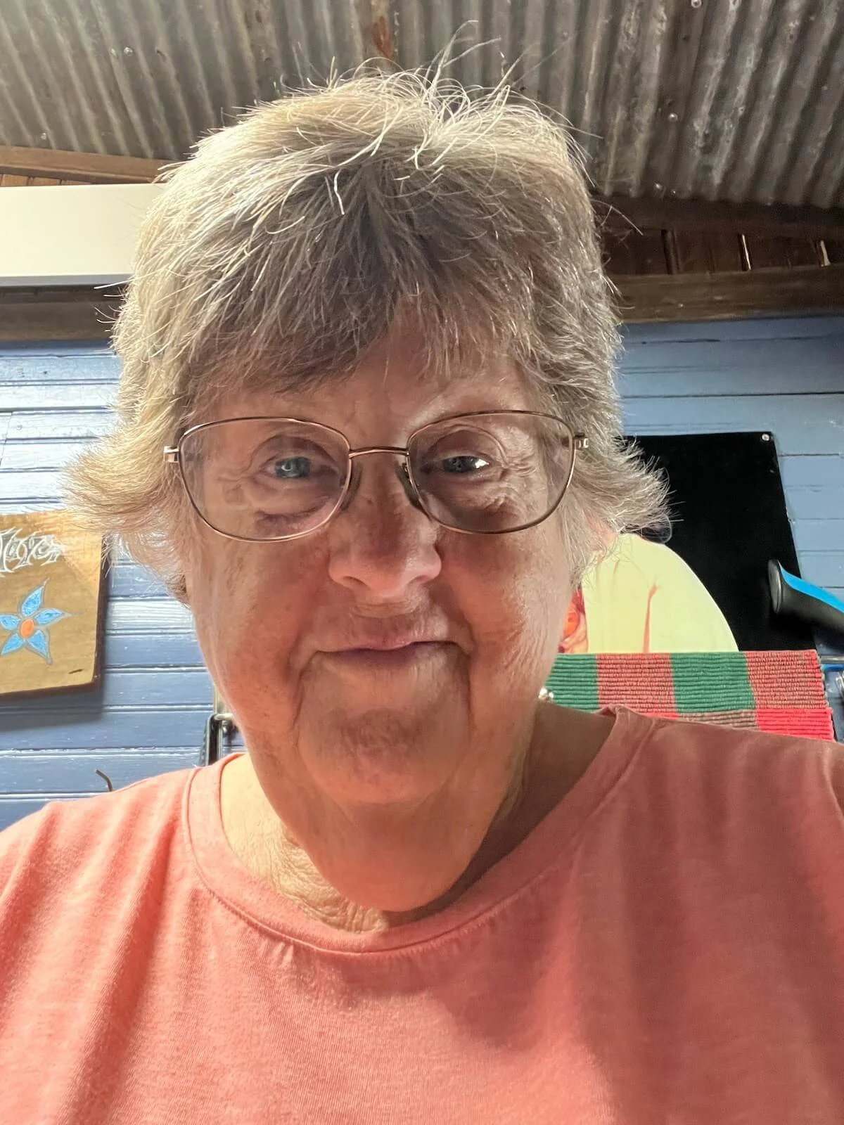 Photo of artist Jan Gaughran from the shoulders up wearing an apricot tshirt and wearing glasses.