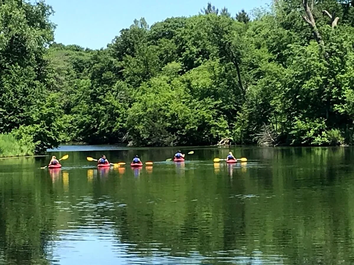 Five people kayaking on a calm river surrounded by dense green trees on a bright, sunny day.
