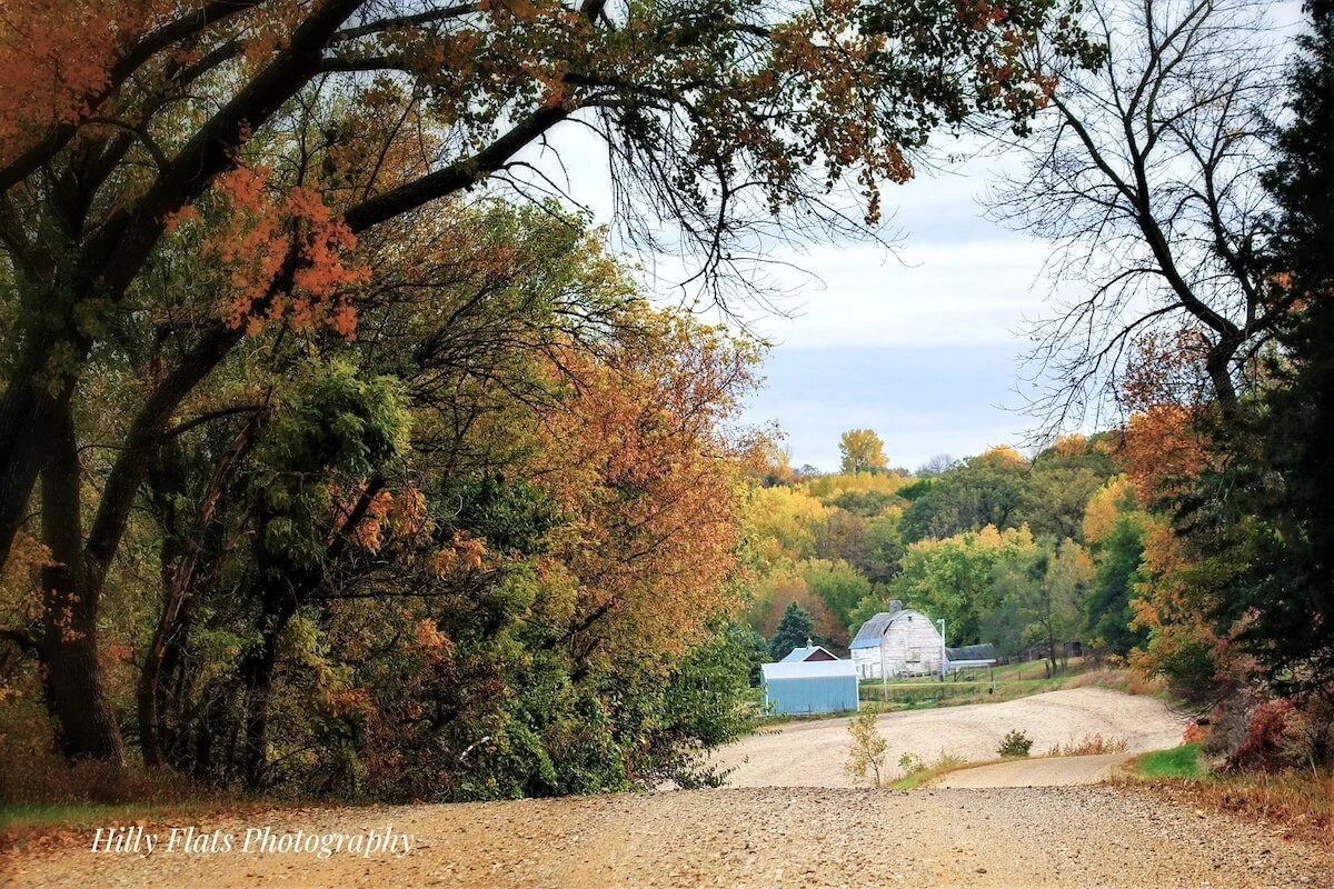 VIctoria-Allen-VaughnFarm-x.jpg