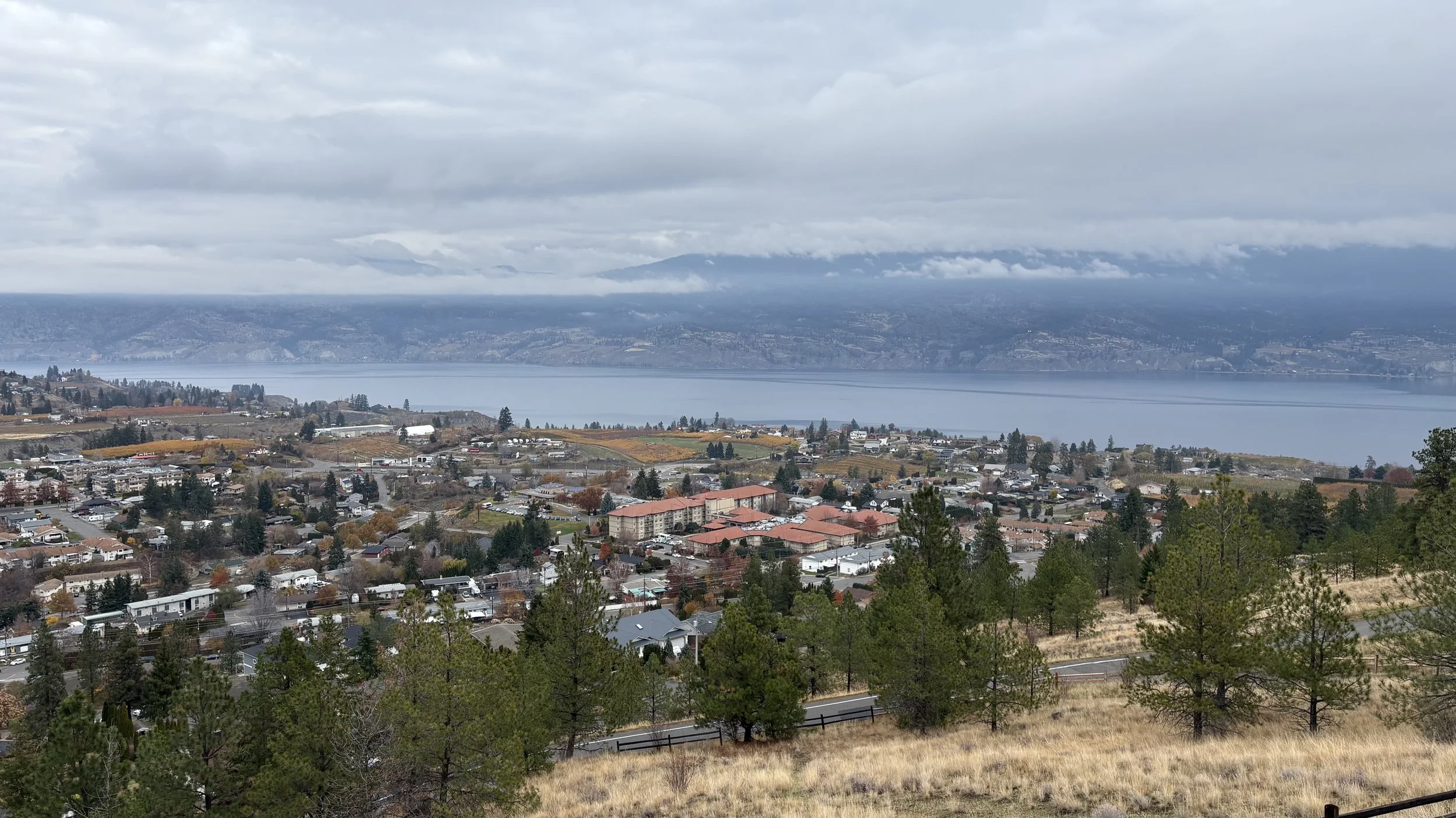 A town near a large body of water with mountains in the distance, viewed on a cloudy day from a hillside with trees and houses.