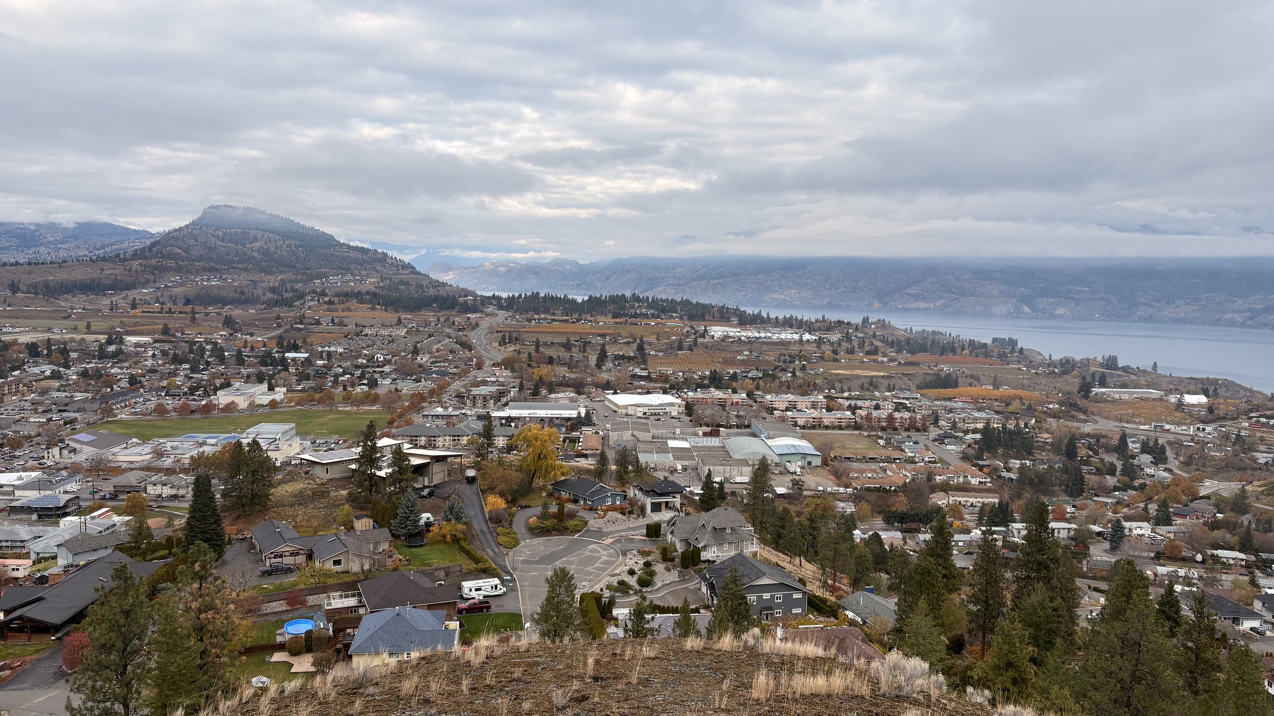Aerial view of a suburban town by a large body of water with mountains in the background and overcast sky.