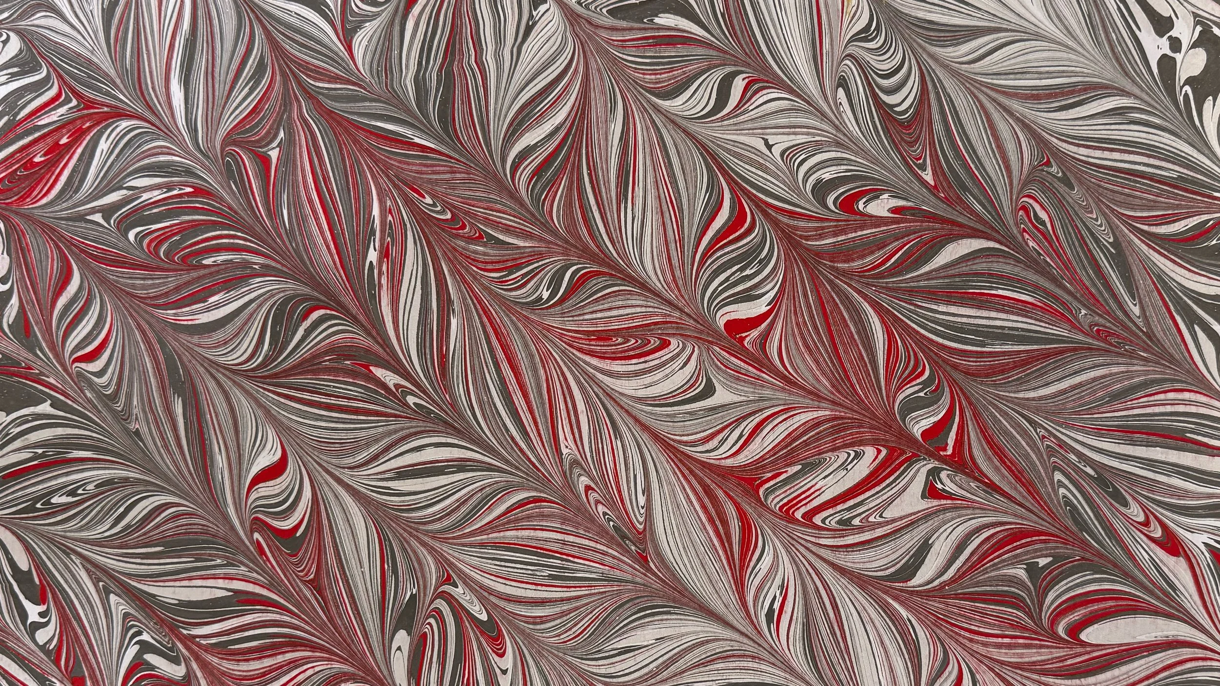 copy_6194874C-9F6C-4A79-8D2F-55C9DC430E3C.JPEG