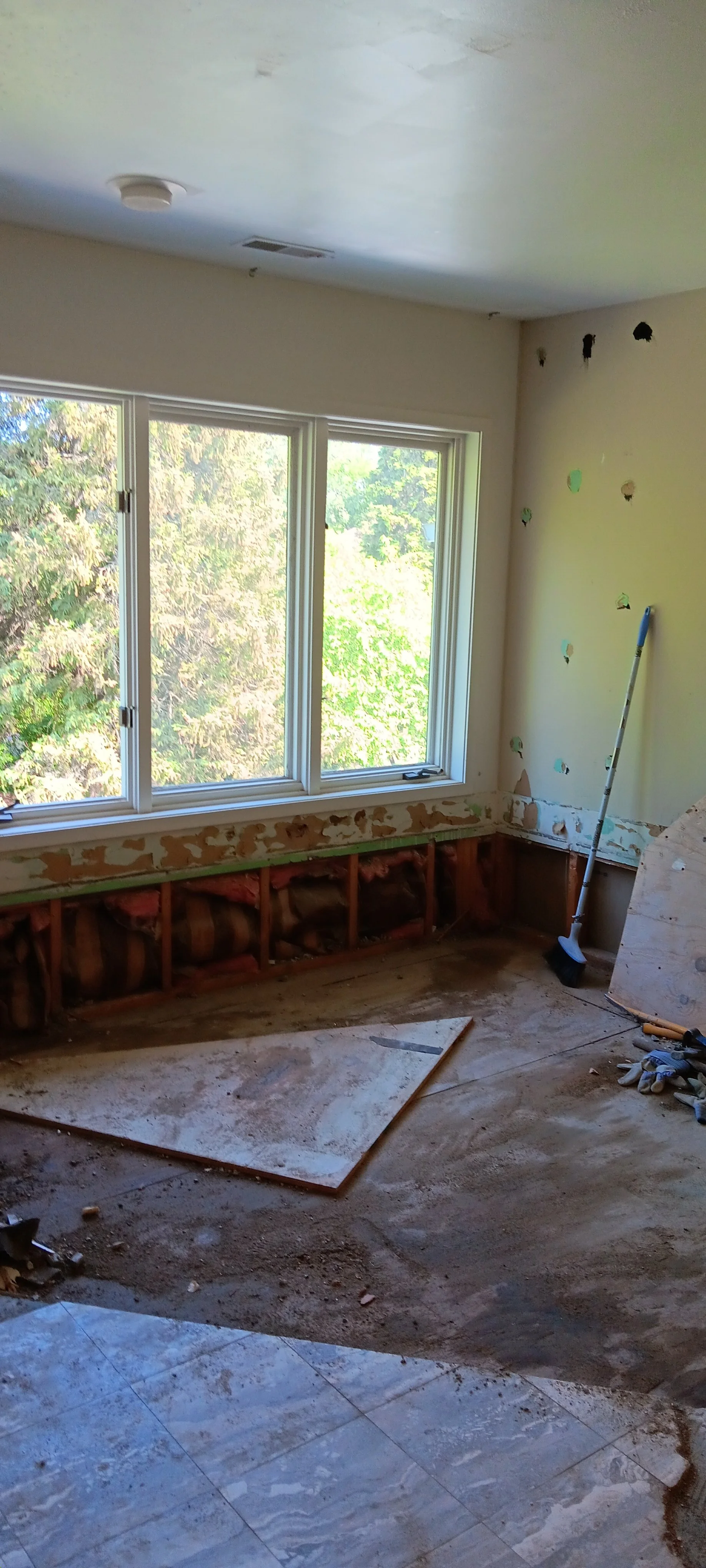 Bathroom interior during the early demolition and removal process.