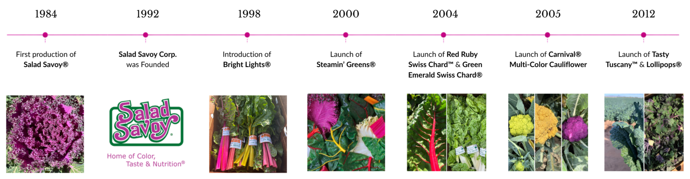 A timeline of vegetable creation with various colorful vegetables, including pink cauliflower, rainbow chard, purple and green kale, broccoli, cauliflower, and purple cabbage.
