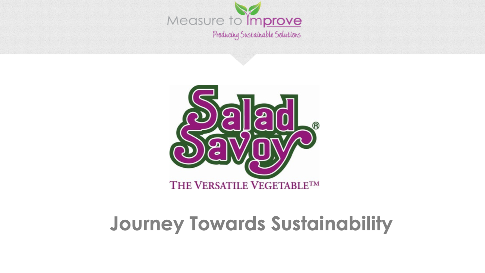 A website page with the Salad Savoy logo, a tagline reading "Journey Towards Sustainability," and a header "Measure to Improve Producing Sustainable Solutions" with a leafy green and purple theme.