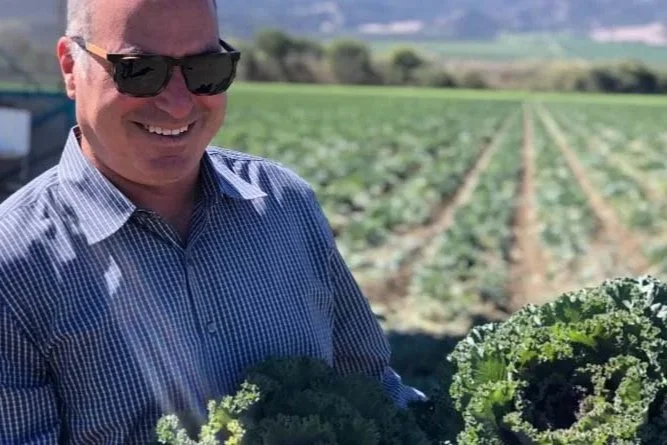 A man smiling and wearing sunglasses, holding fresh kale leaves on a farm with green fields in the background.