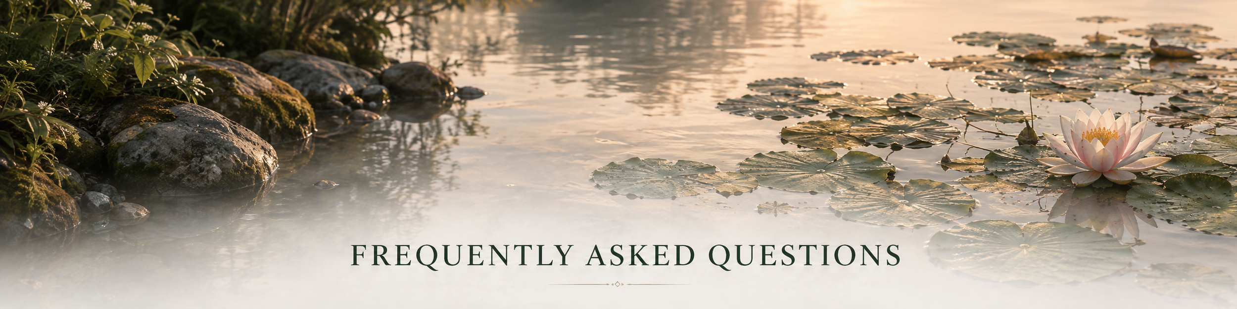 A peaceful water scene with a lotus flower and lily pads, rocks along the shore, and the text 'Frequently Asked Questions' overlaid.