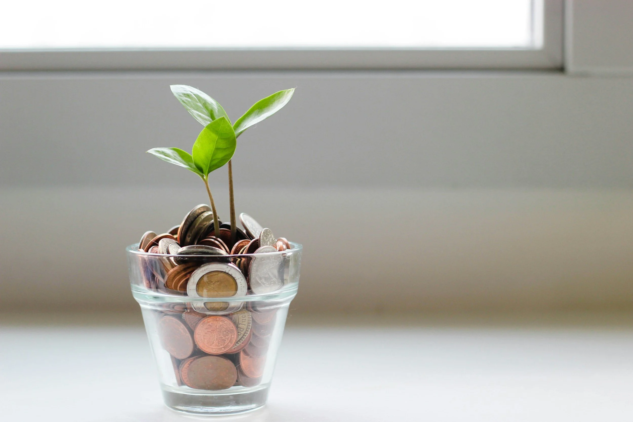 A glass container filled with coins, with a small green plant sprouting from the coins, placed on a white surface near a window.