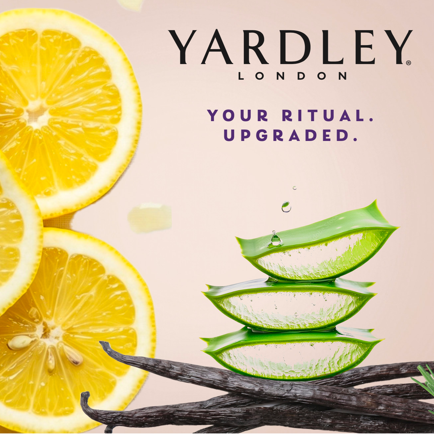 Yardley.png