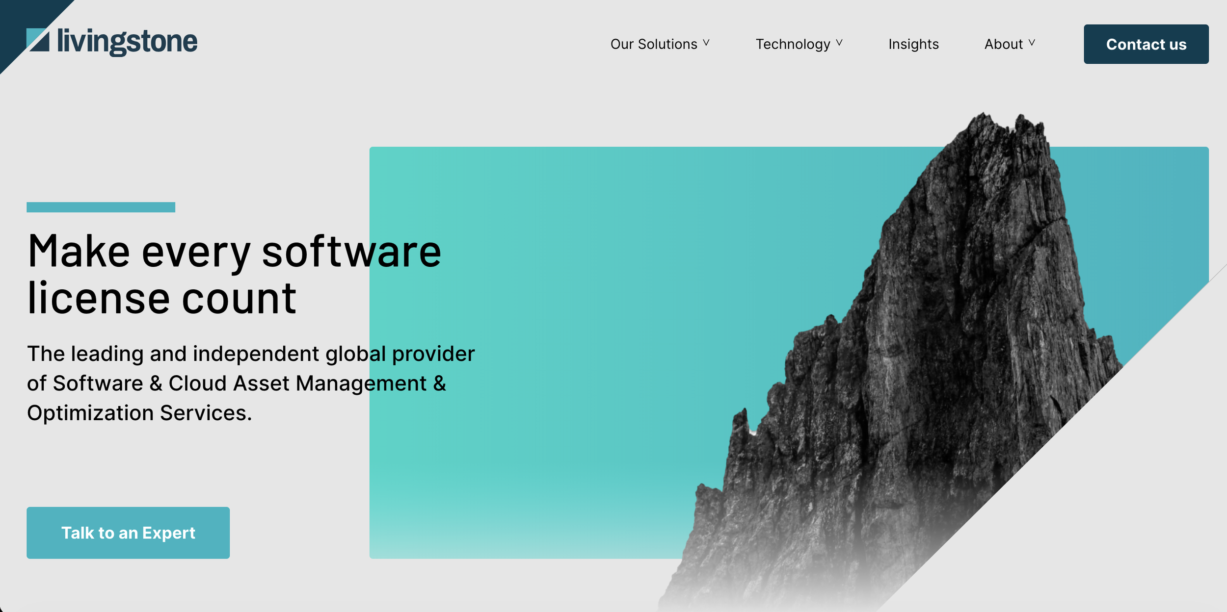 Livingstone website 1.png