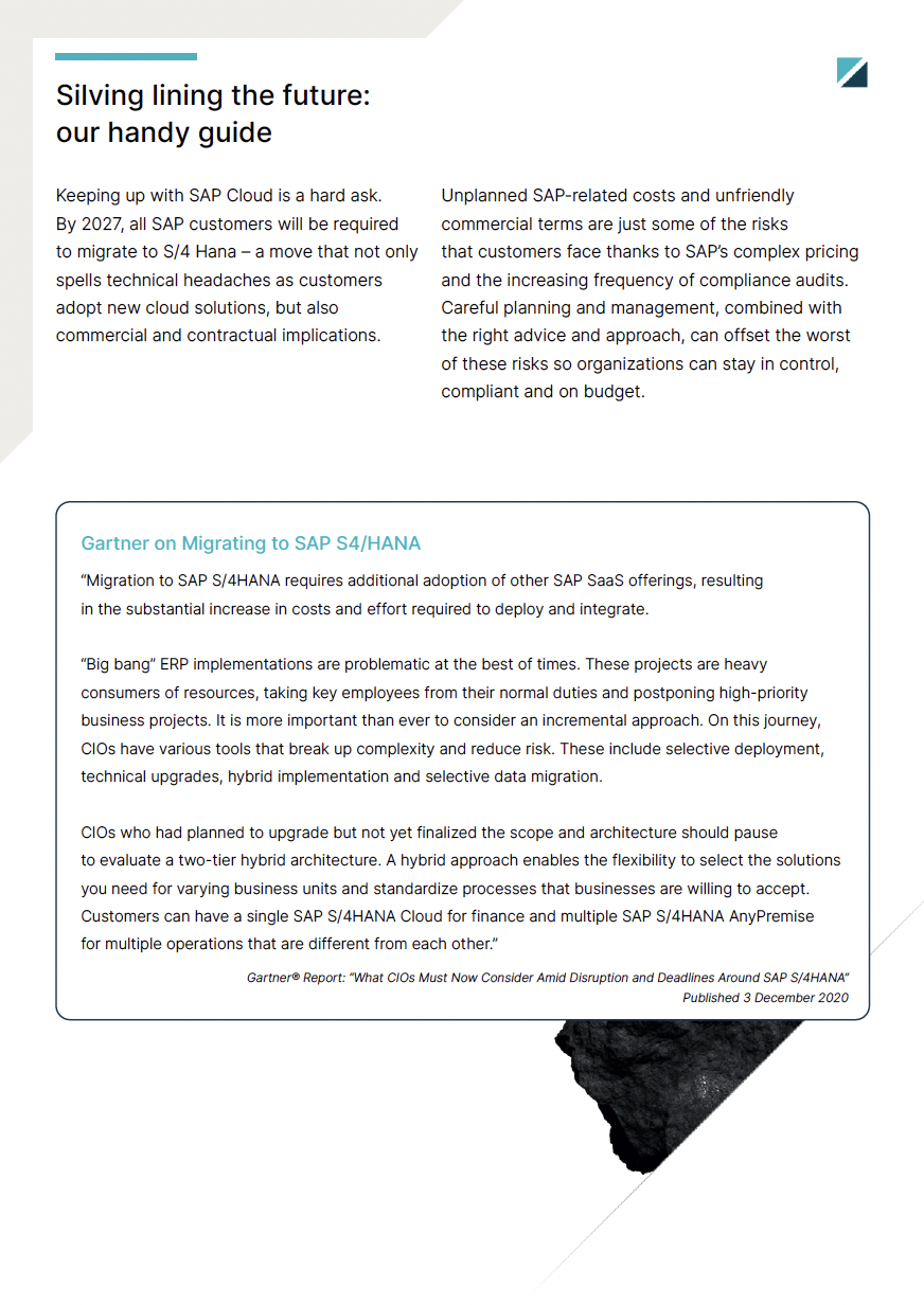Livingstone SAP whitepaper creative page 3.png