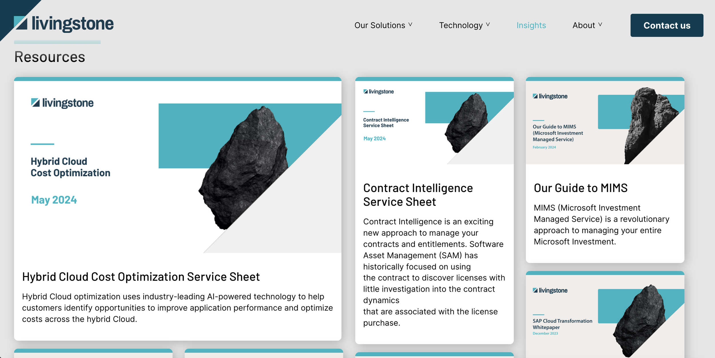 Livingstone website 4.png