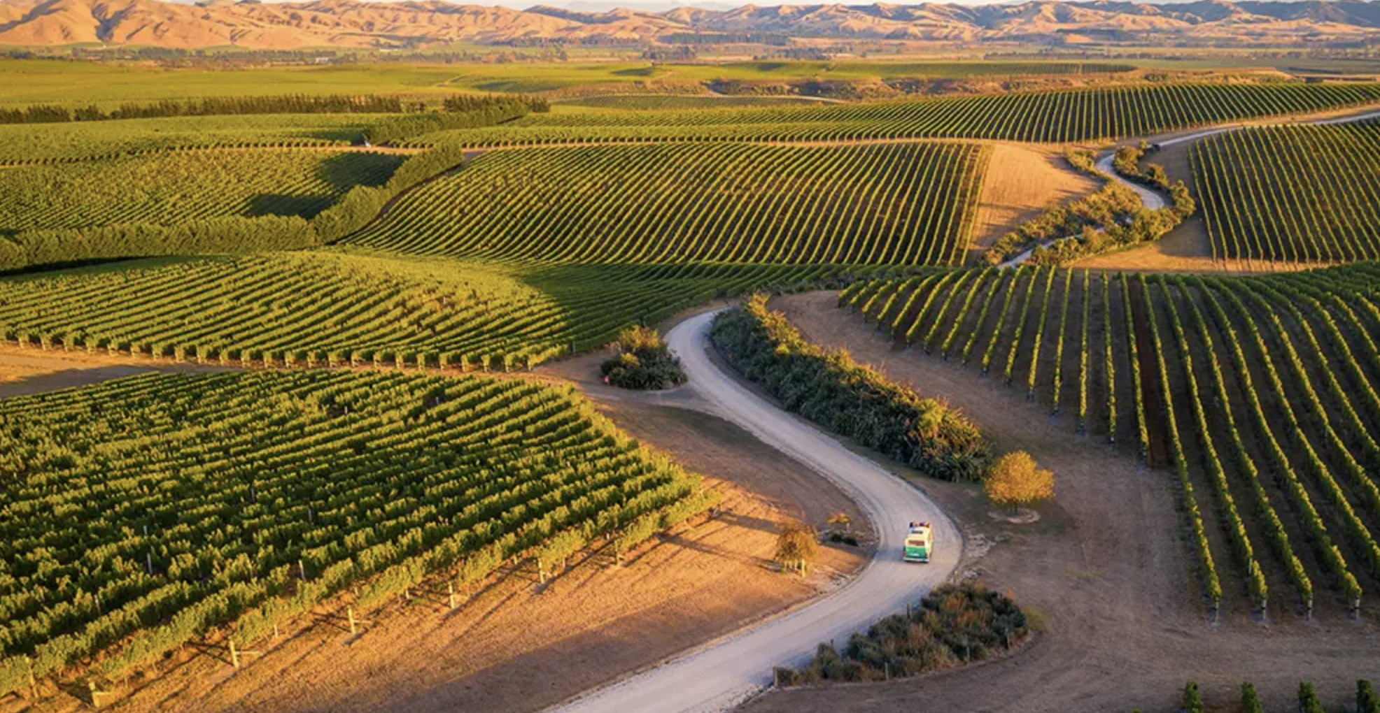 Aerial view of Marlborough vineyards and wine country near Blenheim